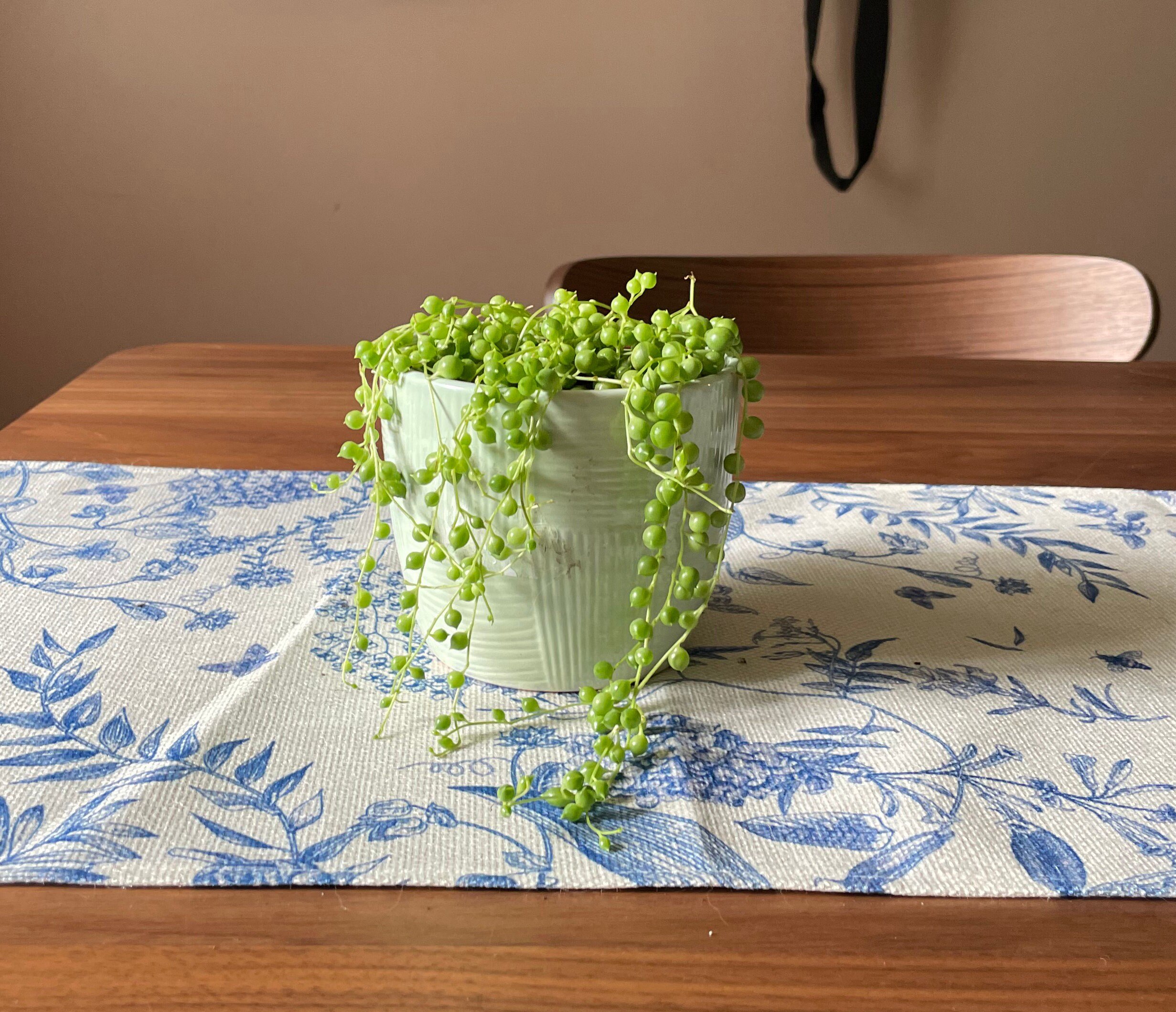https://i.etsystatic.com/44685489/r/il/5cc113/6245895608/il_fullxfull.6245895608_tixd.jpg