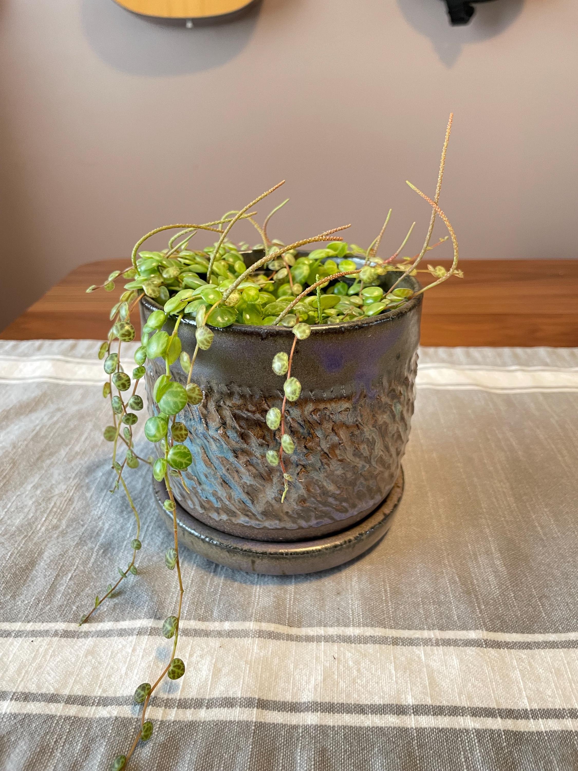 https://i.etsystatic.com/44685489/r/il/d16cdf/6501911031/il_fullxfull.6501911031_6obx.jpg