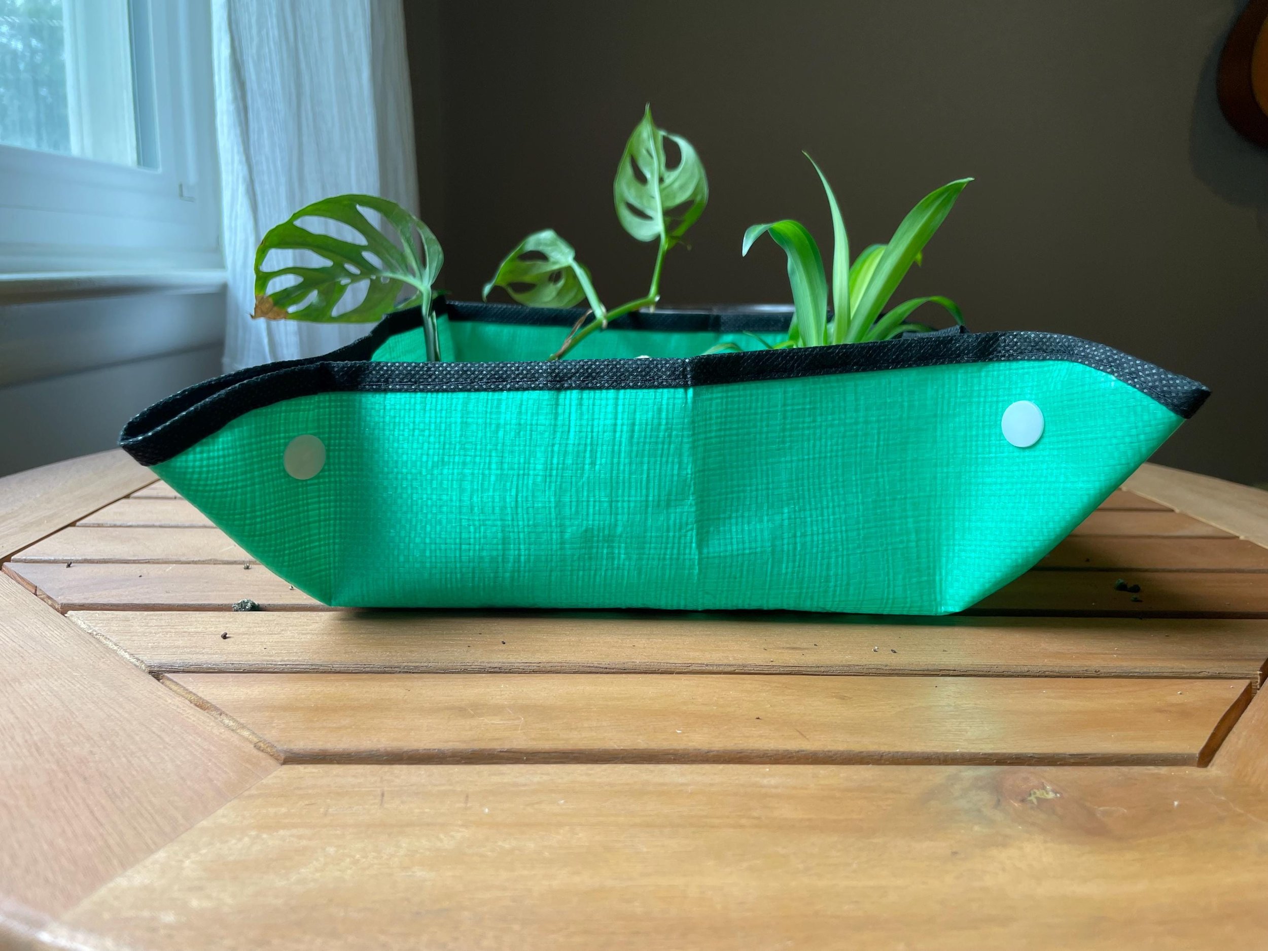 https://i.etsystatic.com/44685489/r/il/af8c16/6598093132/il_fullxfull.6598093132_tch4.jpg