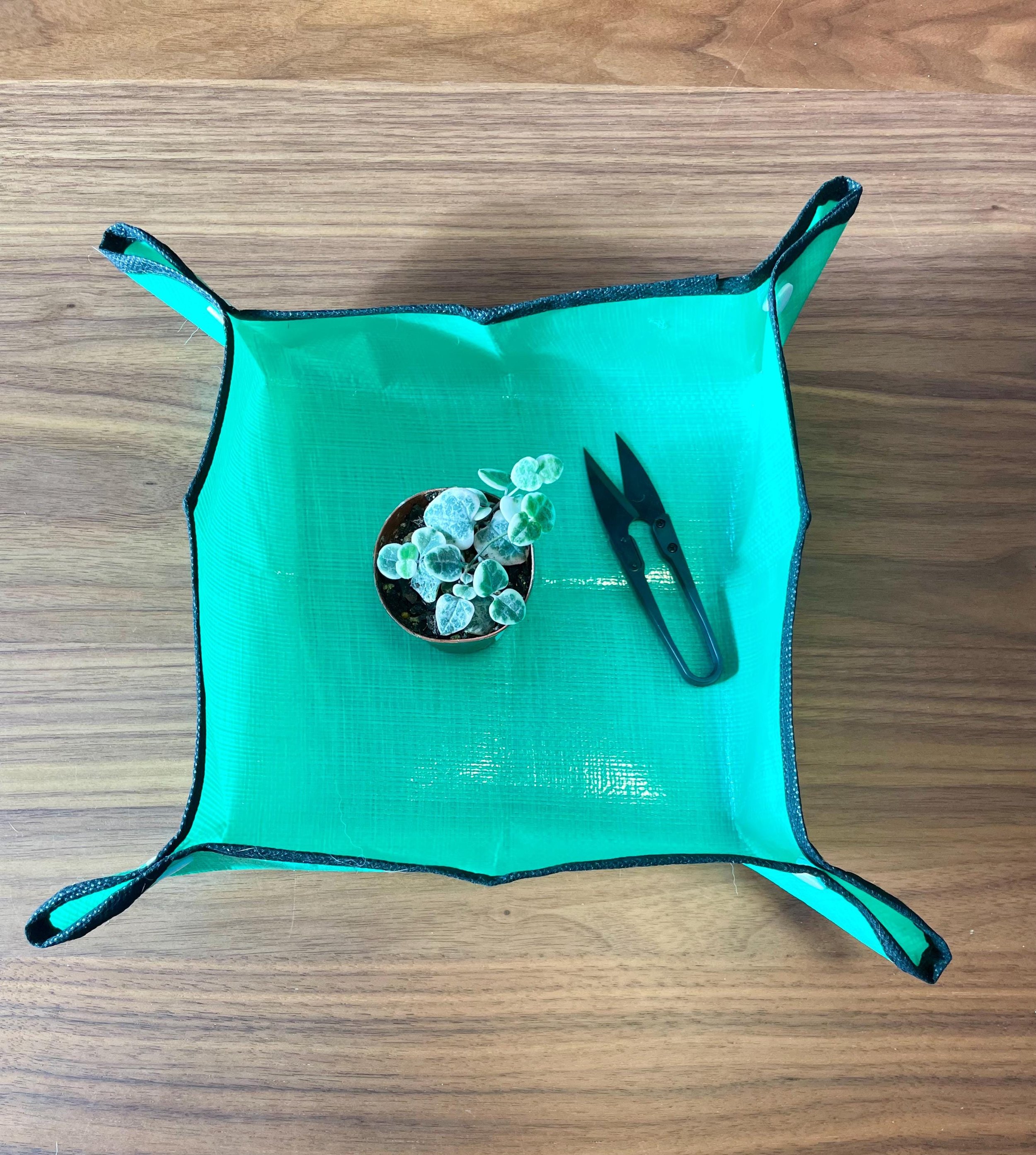 https://i.etsystatic.com/44685489/r/il/b17aa6/6598152828/il_fullxfull.6598152828_81y3.jpg