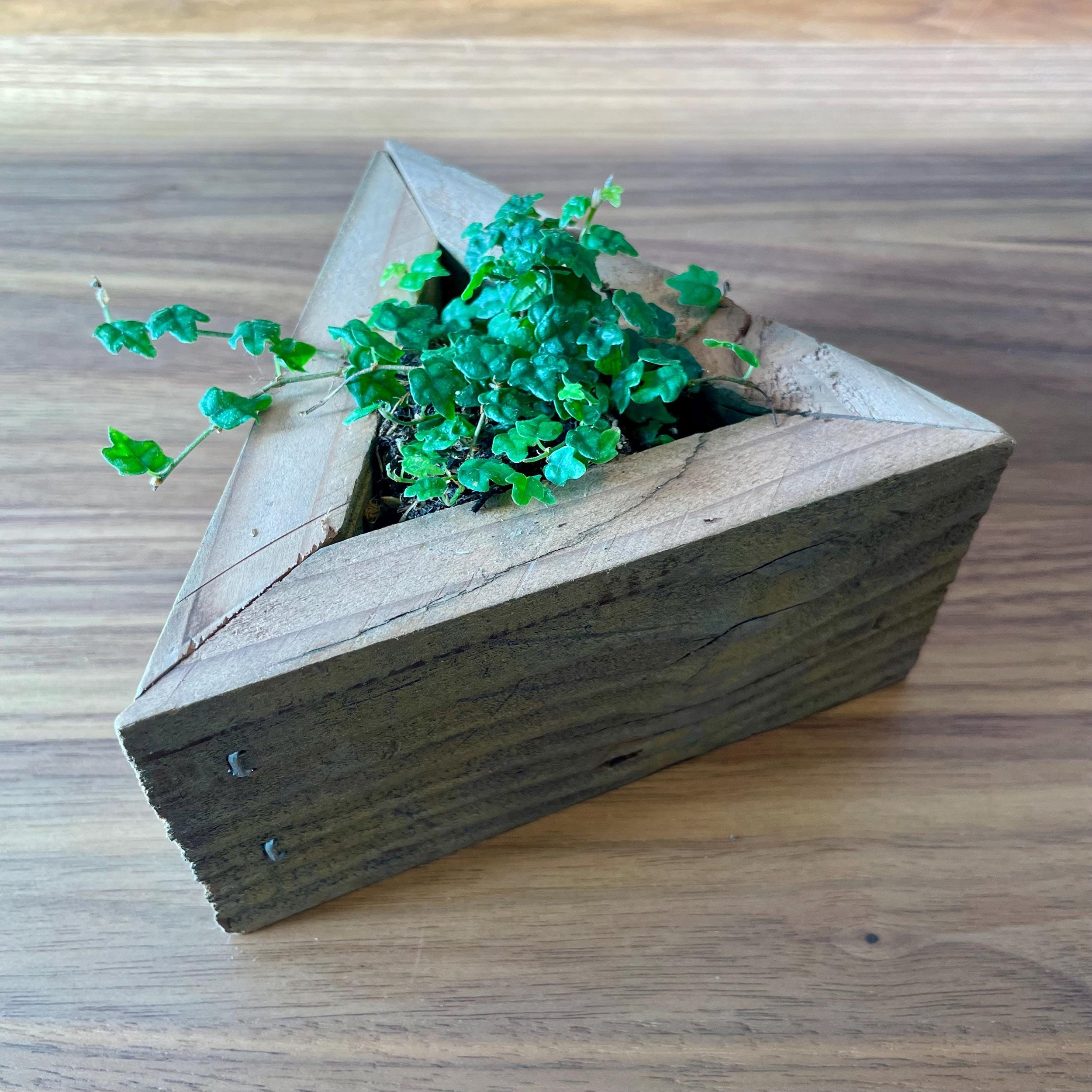 https://i.etsystatic.com/44685489/r/il/18ba14/6598104966/il_fullxfull.6598104966_pzdu.jpg