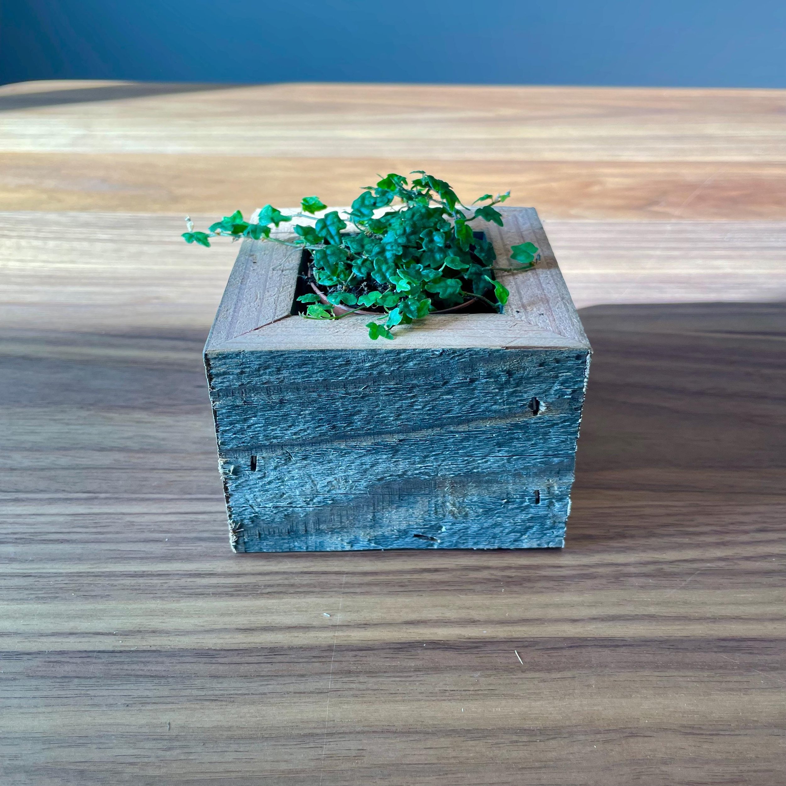 https://i.etsystatic.com/44685489/r/il/f8eb85/6598104964/il_fullxfull.6598104964_rh77.jpg
