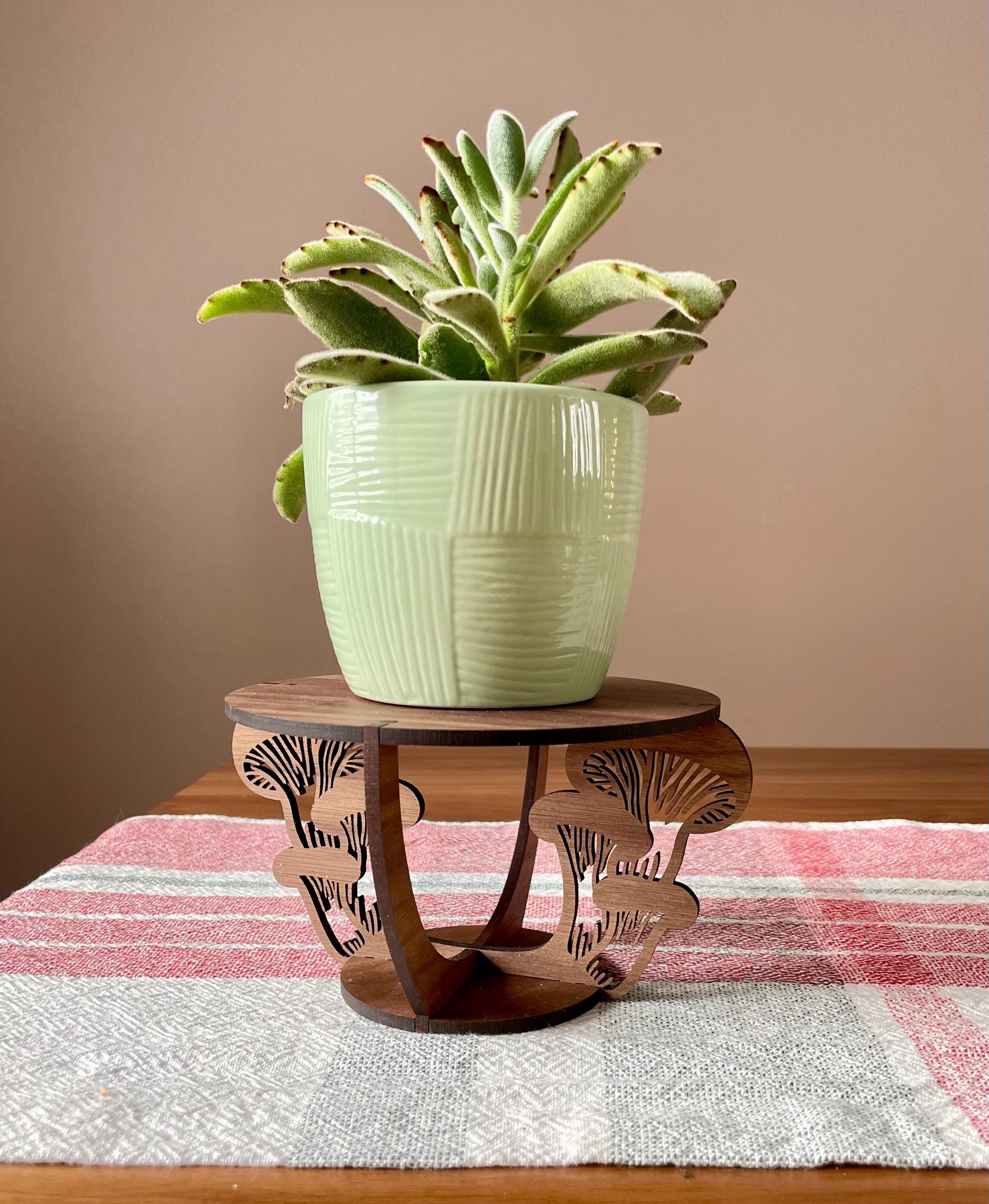 https://i.etsystatic.com/44685489/r/il/36ac6b/6570862718/il_fullxfull.6570862718_2cgr.jpg