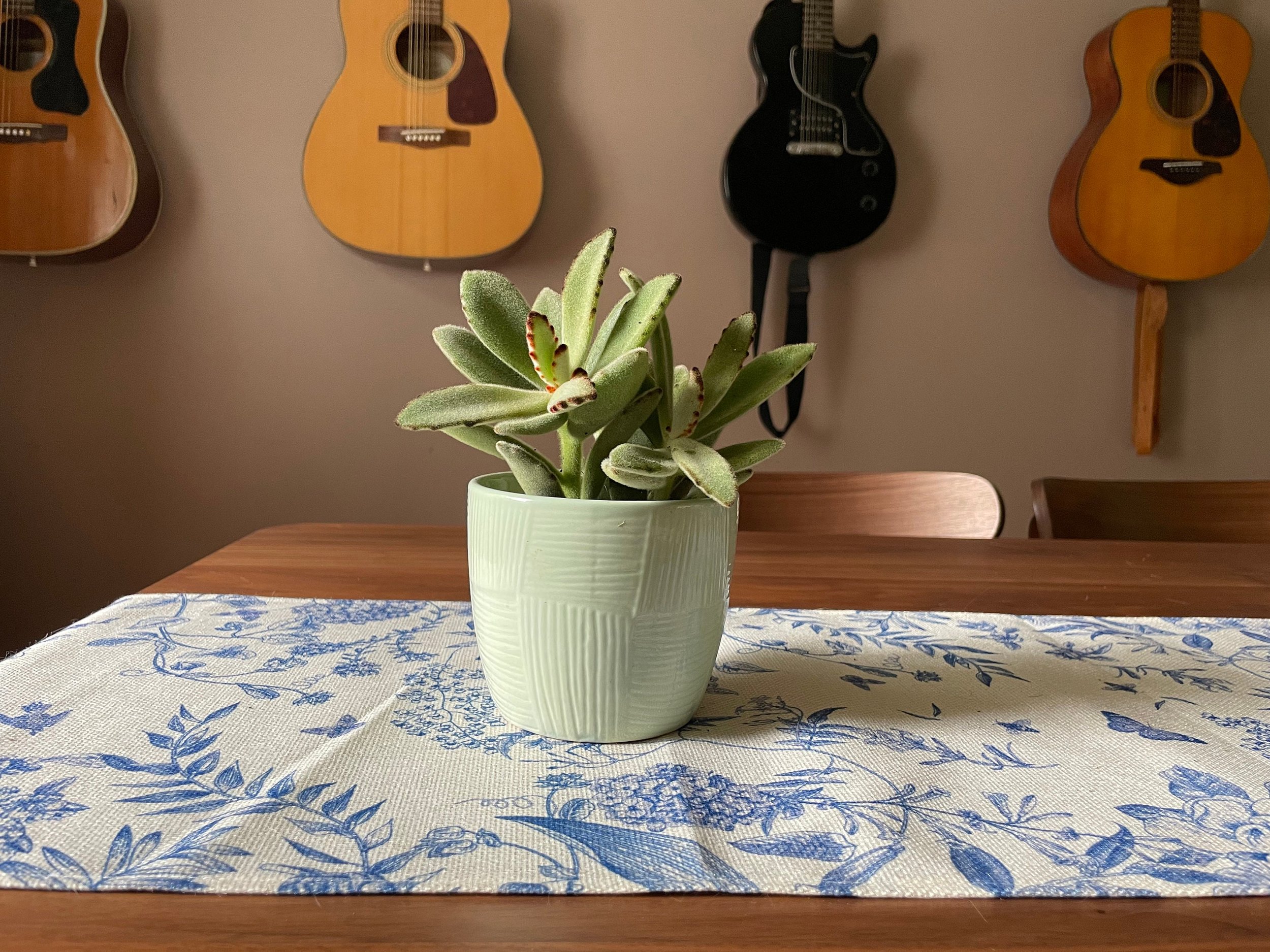 https://i.etsystatic.com/44685489/r/il/eb8a15/6245870348/il_fullxfull.6245870348_6x3x.jpg