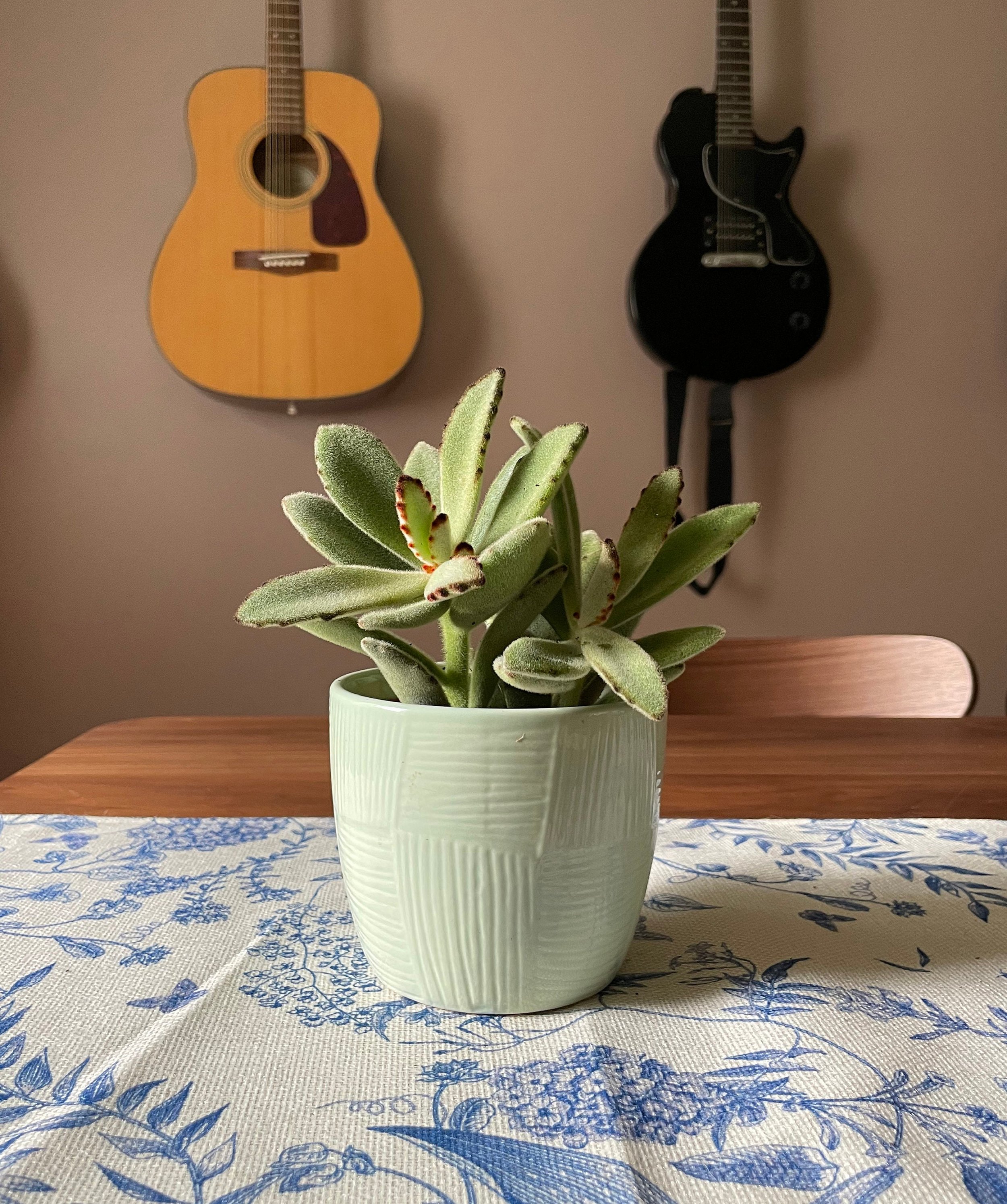 https://i.etsystatic.com/44685489/r/il/24bcec/6245870346/il_fullxfull.6245870346_kbeg.jpg