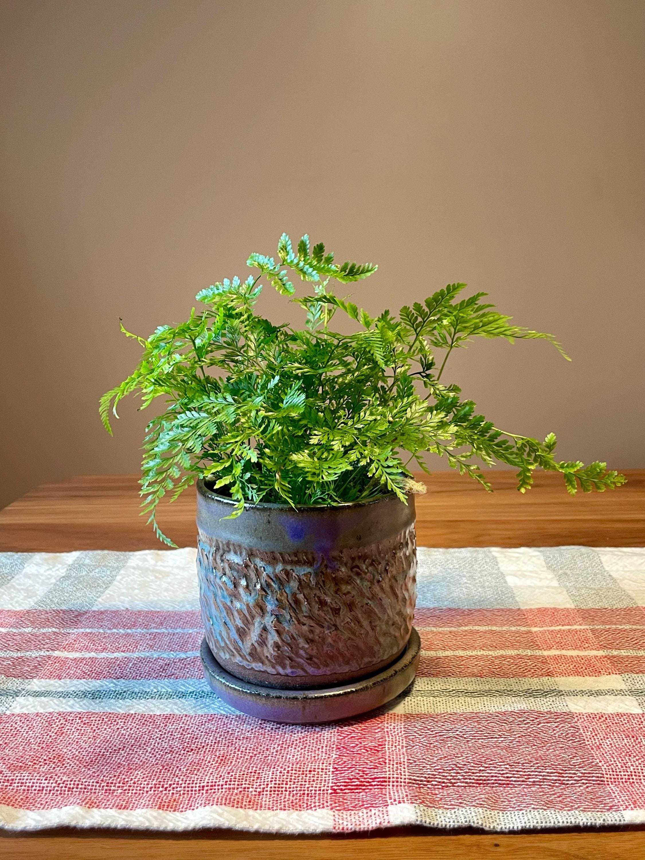 https://i.etsystatic.com/44685489/r/il/4795e5/6501705135/il_fullxfull.6501705135_i7j9.jpg