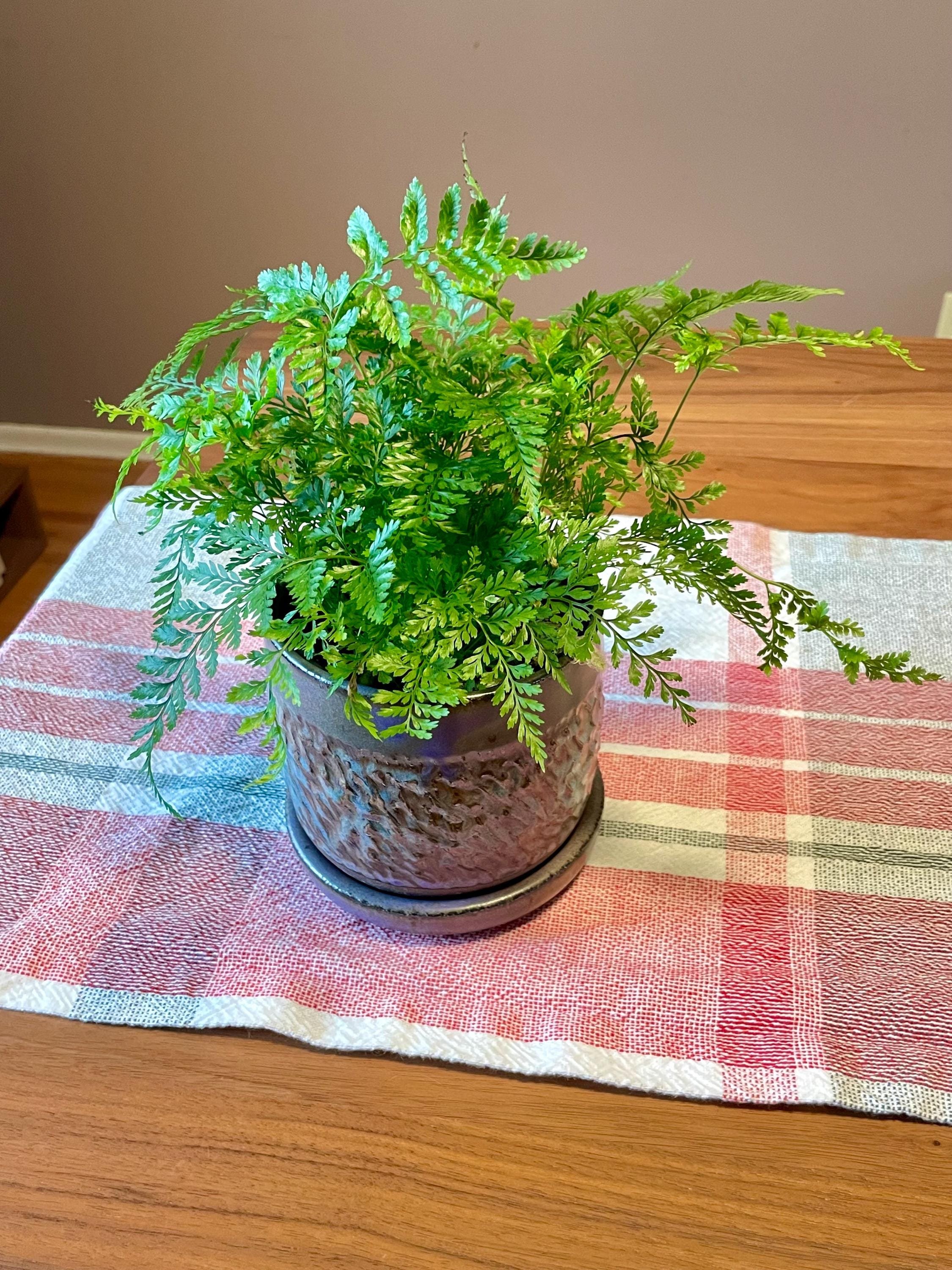 https://i.etsystatic.com/44685489/r/il/20823a/6501705137/il_fullxfull.6501705137_5xpm.jpg