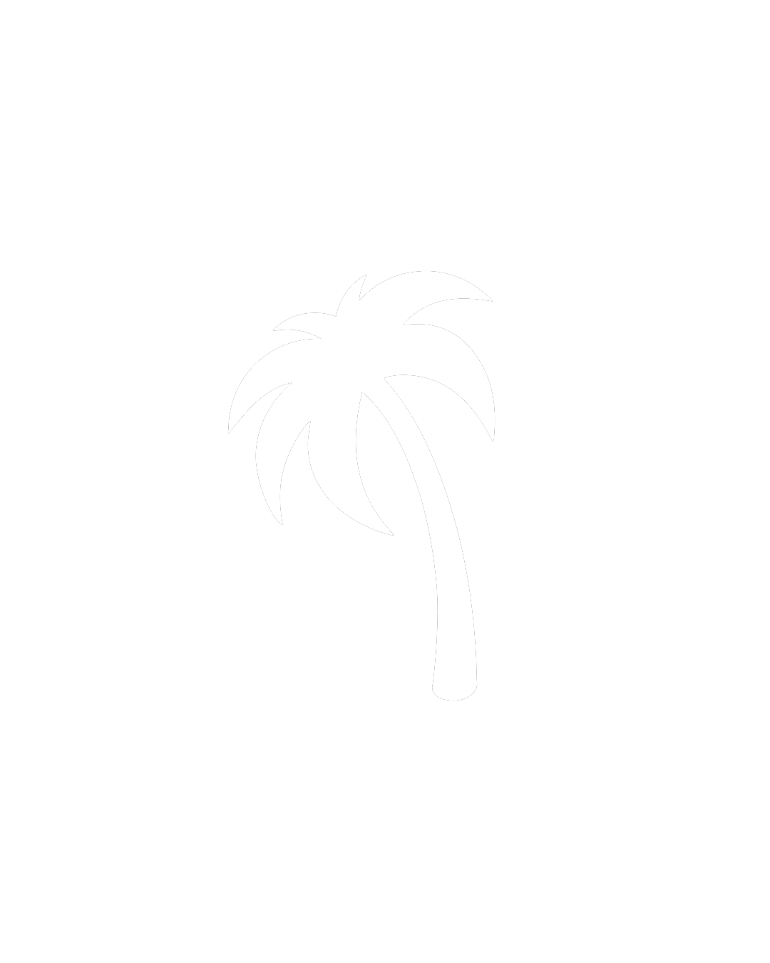 Equipment Rentals — GALVESTON RENTALS