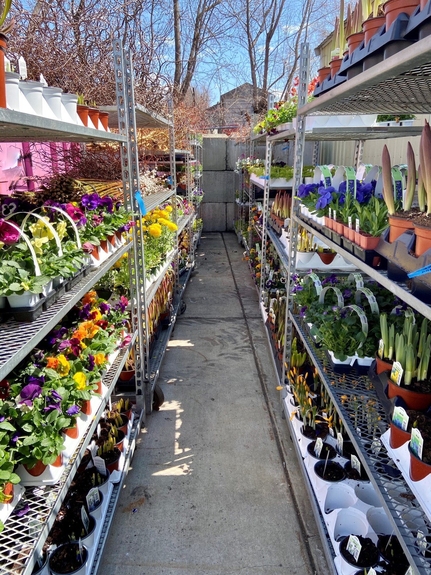 Spring Checklists: A Thing So Normal and Nice in Minnesota!
