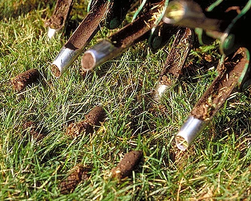 Core Aeration