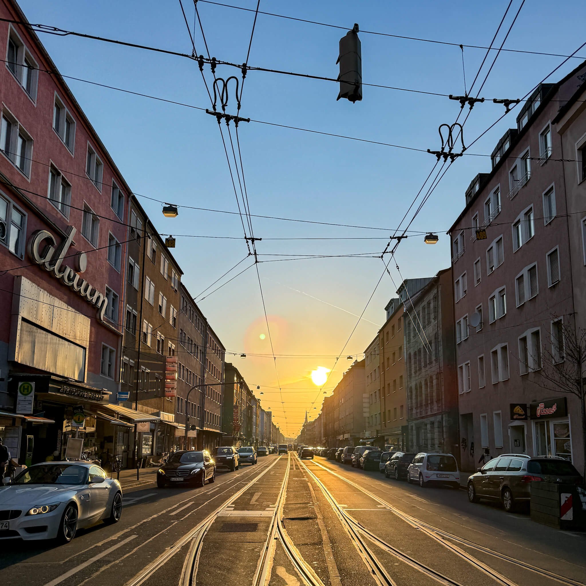 Kleine Bäume am Rand der Wölckernstraße in Nürnberg.