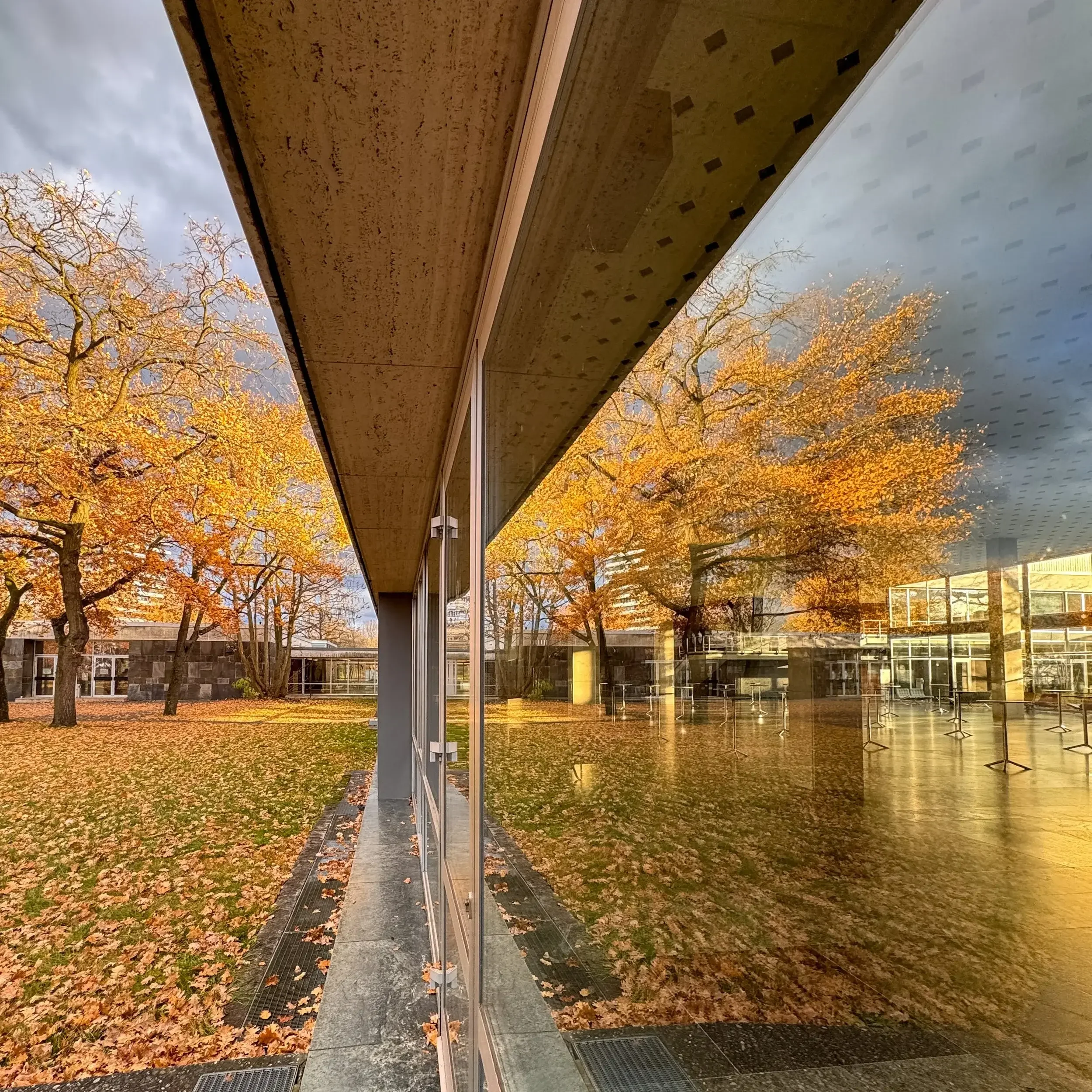 Die moderne Glasfassade der Meistersingerhalle in Nürnberg, in der sich herbstliche Bäume mit goldenen Blättern spiegeln.