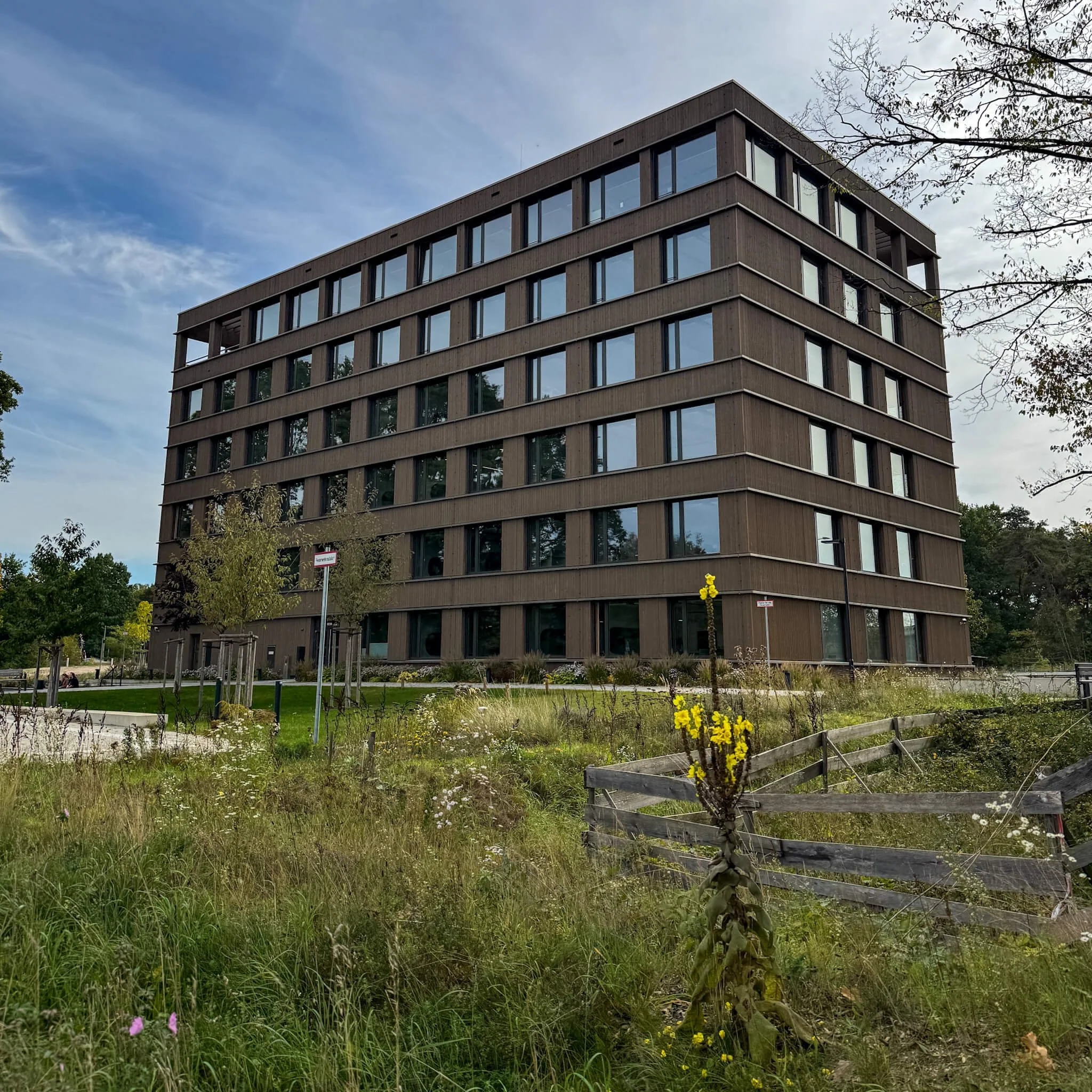 Mehrgeschossiges Gebäude der Technischen Universität Nürnberg in Lichtenreuth mit Holzfassade, jungen Bäumen und blühenden Pflanzen im Vordergrund.