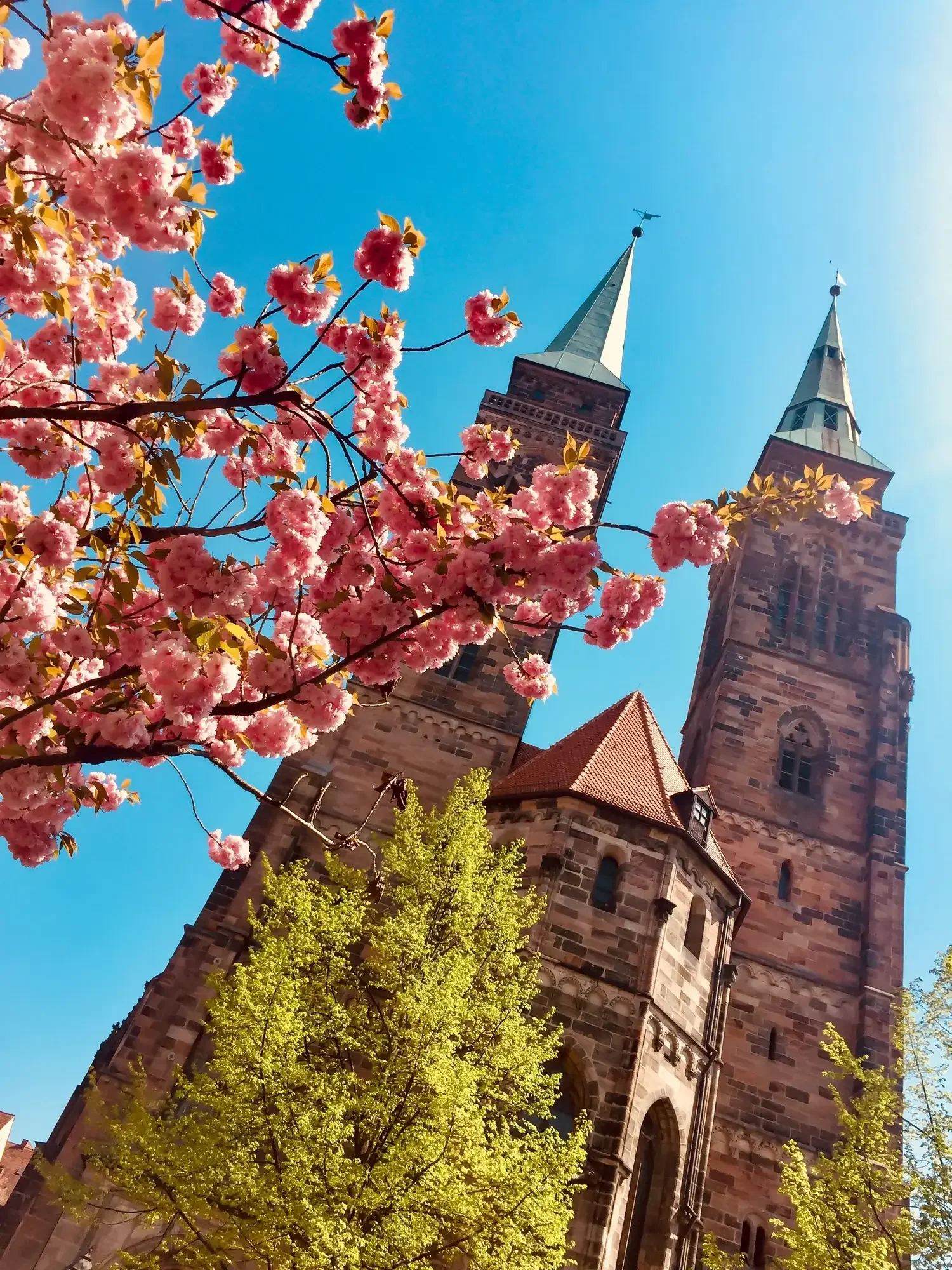 Kirschblüte Sebalduskirche Nürnberg Masterplan Freiraum