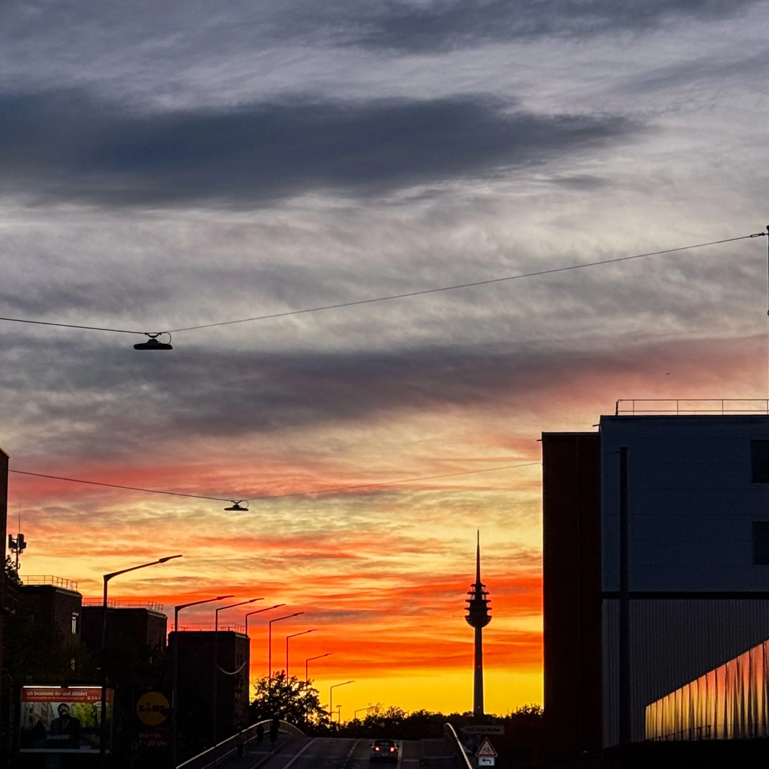 Rilke für die Republik