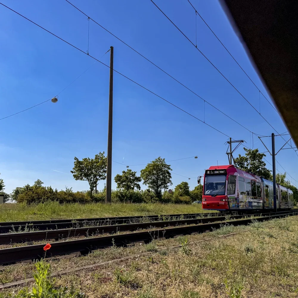 Rote VAG-Straßenbahn fährt auf einer grünen Gleistrasse kurz vor der Endhaltestelle Am Wegfeld