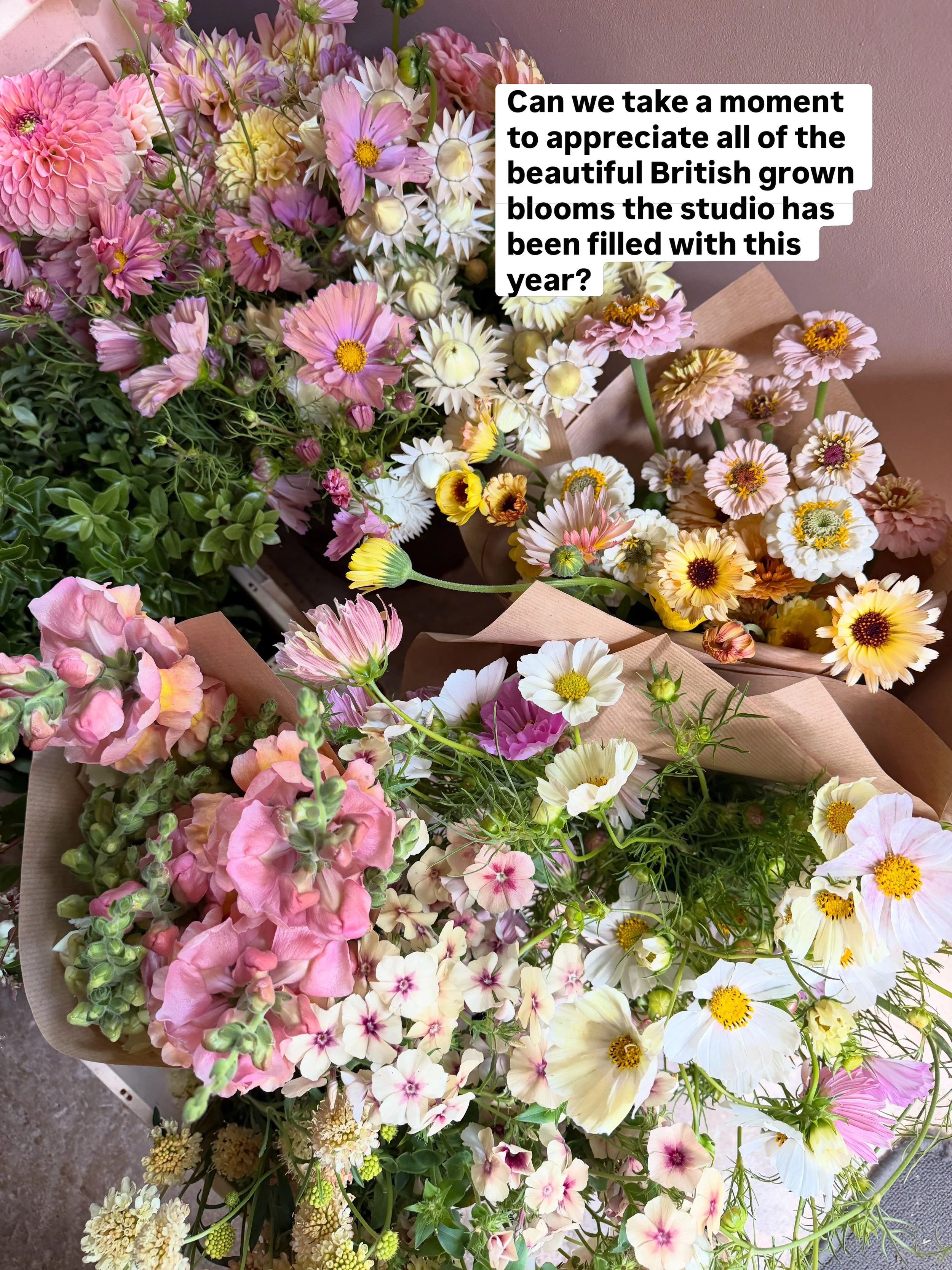 How lucky am I to be surrounded by this many beautiful British grown flowers week in week out 🥹 

Once the flowers are in the studio, I can help but take a video of what feels like an ocean of flowers!

2026 wedding couples, can you spot yours?!

#y