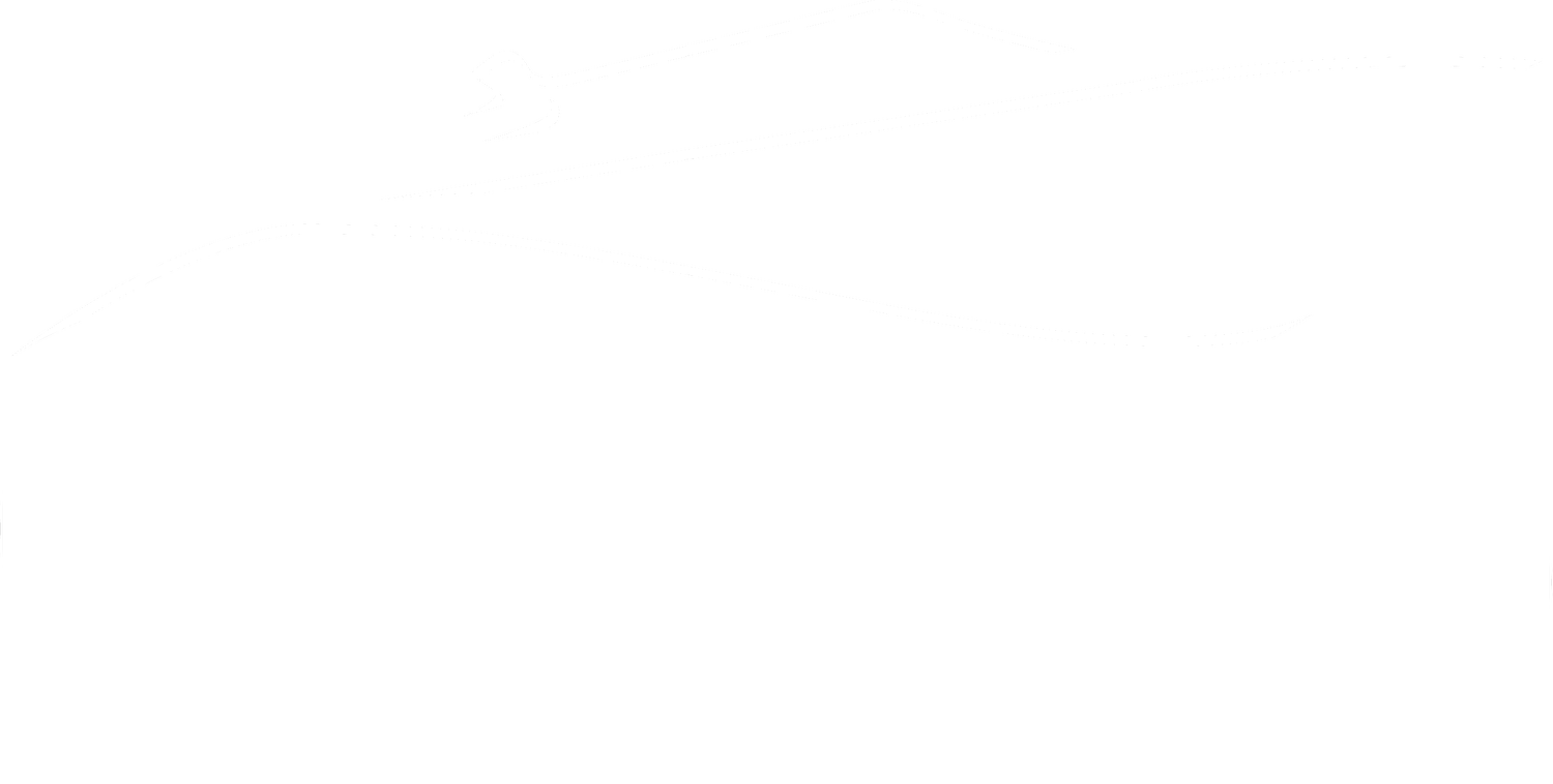Gavis Monte-Carlo