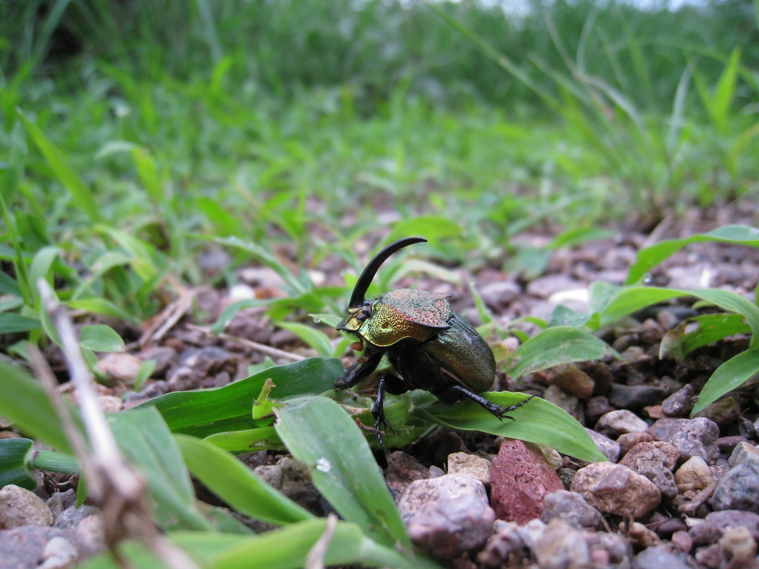 Media coverage - Science News 