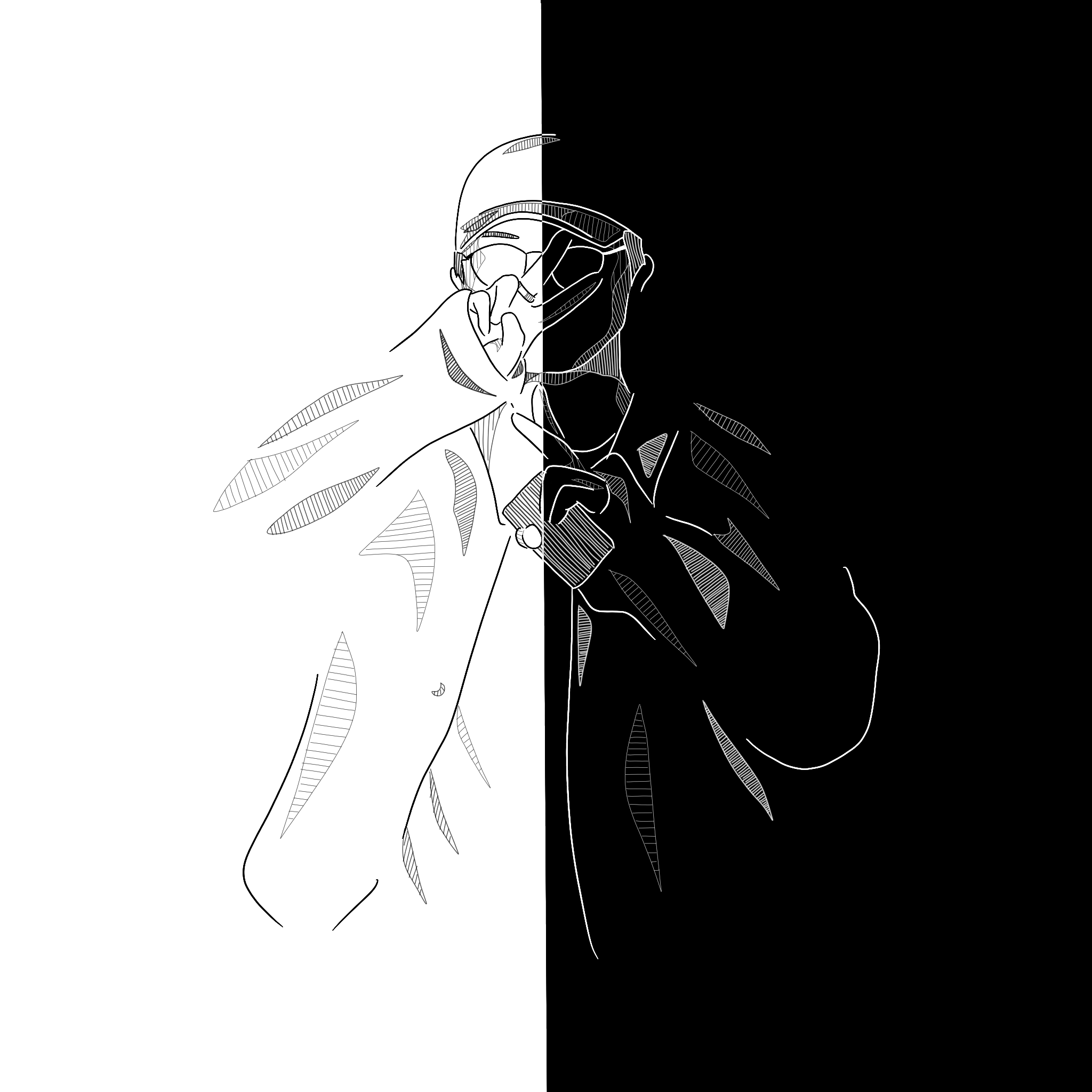 Half_Cut.png