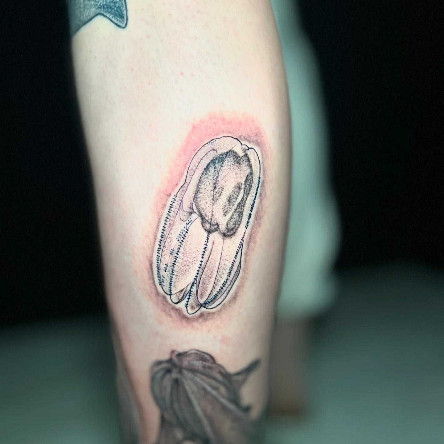 You ever seen a comb jelly tattoo this cute? The answer is no. 
#combjelly #fernandinabeach #tattoos #ameliaisland #stippletattoo #yulee