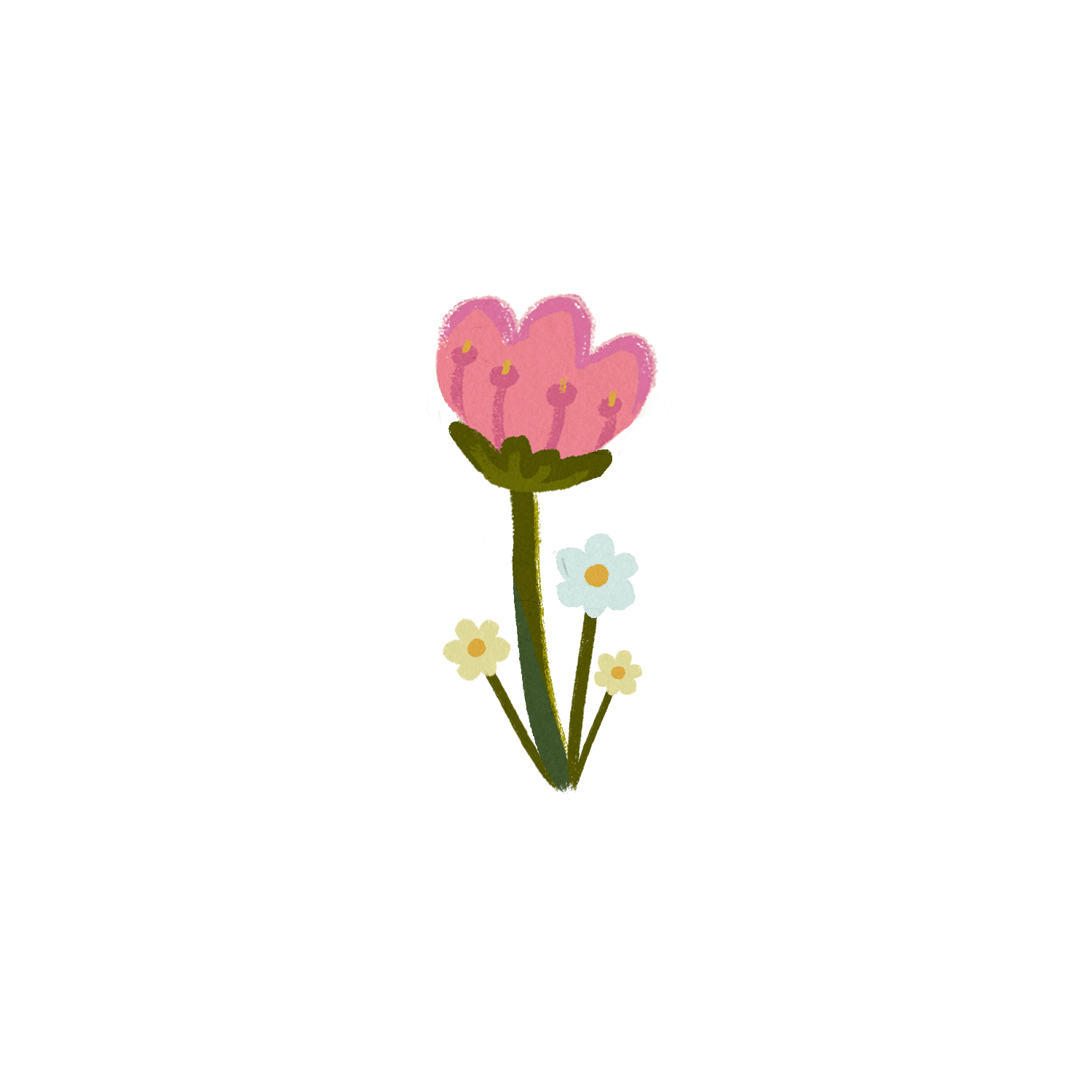 Large colorful pink flower illustration with a green stem and delicate botanical details