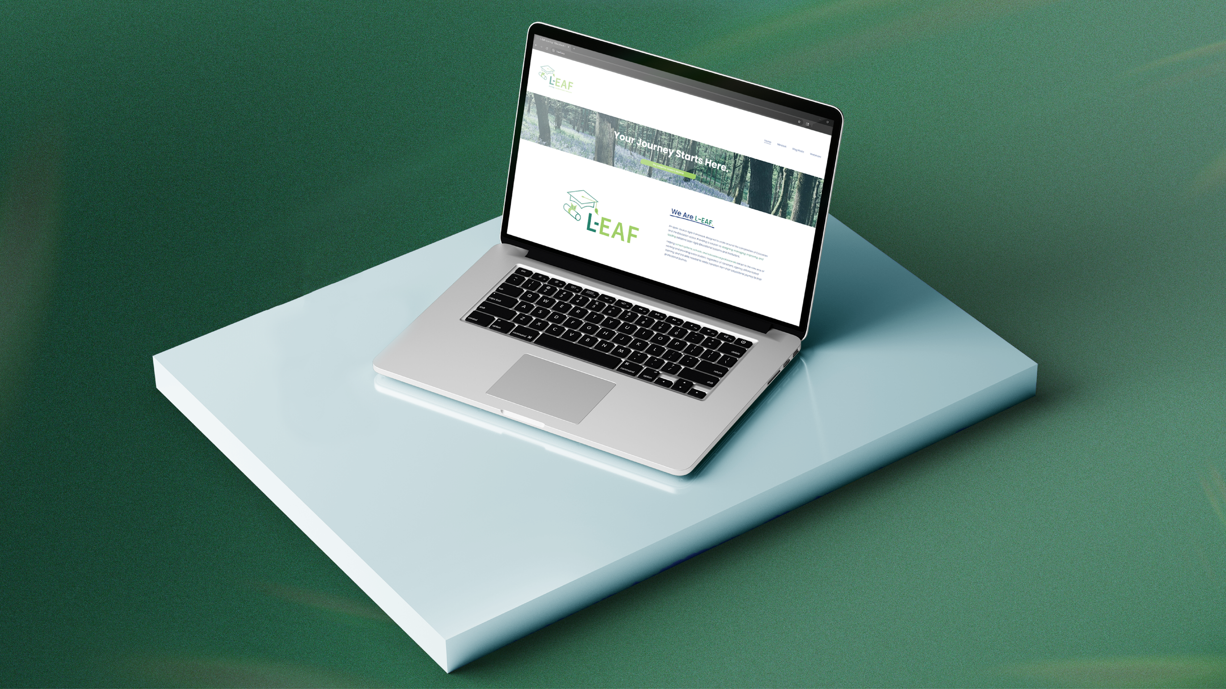 Portfolio-03.png