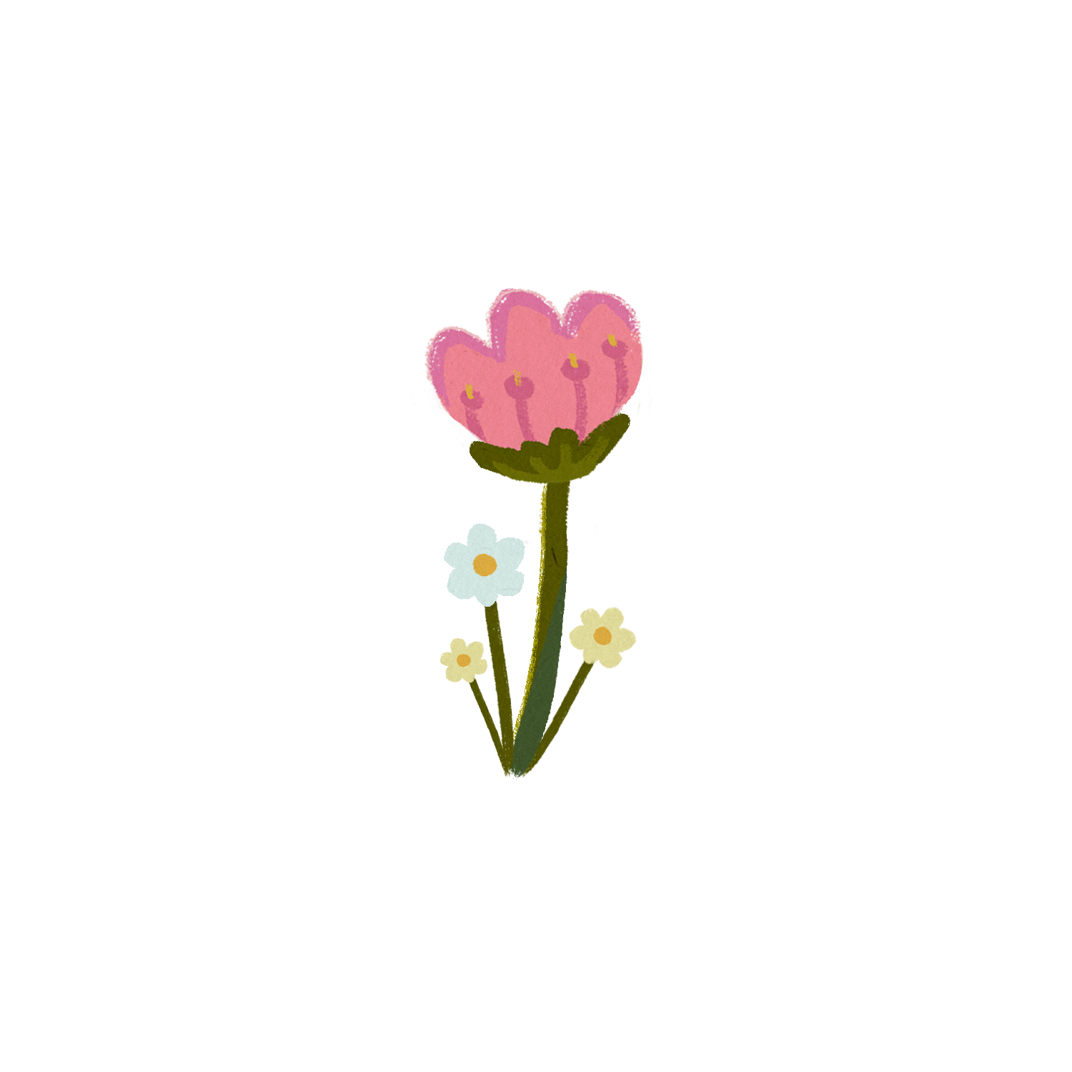 Large colorful pink flower illustration with a green stem and delicate botanical details