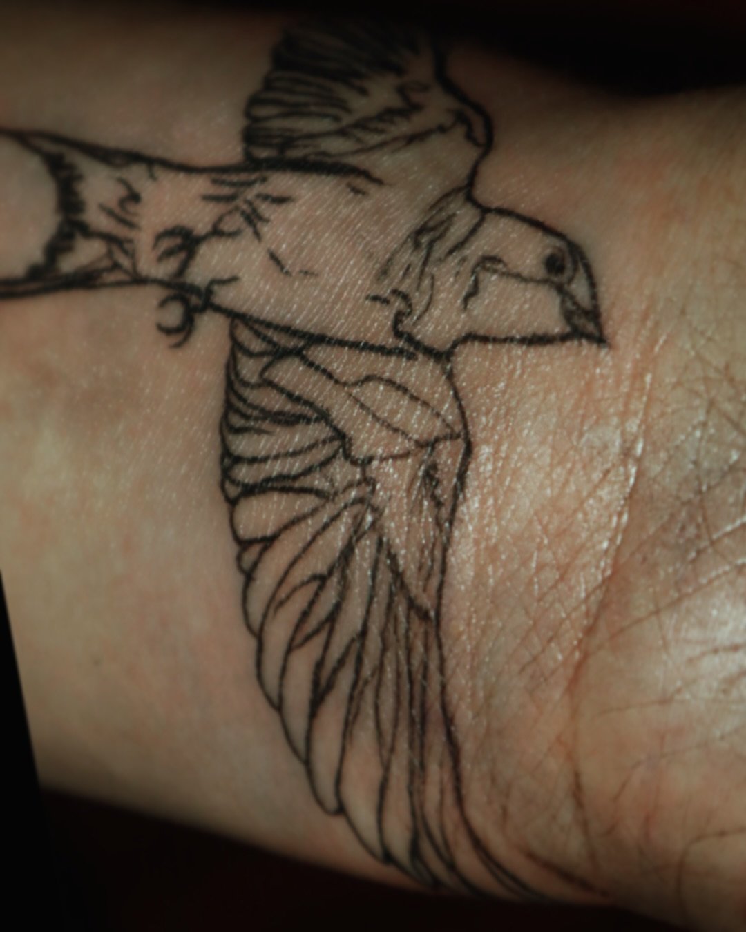 Just a lil swallow on the wrist #dentontattooartist #putabirdonit #dfwtattooartist #swallow