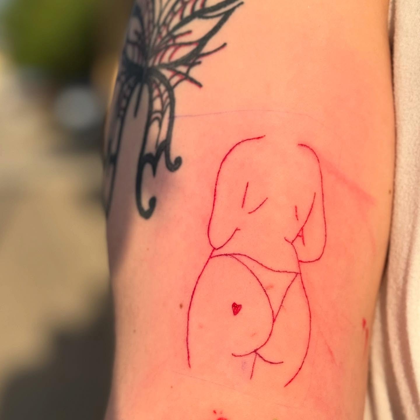 Fine line all red tattoo done on @pau_rl26 ❤️❤️ thanks for always coming back to me ❤️❤️
#finelinetattoo #tattooartist #art #tattoo #tattoos #bodymods #redink #redtattoo #colortattoo