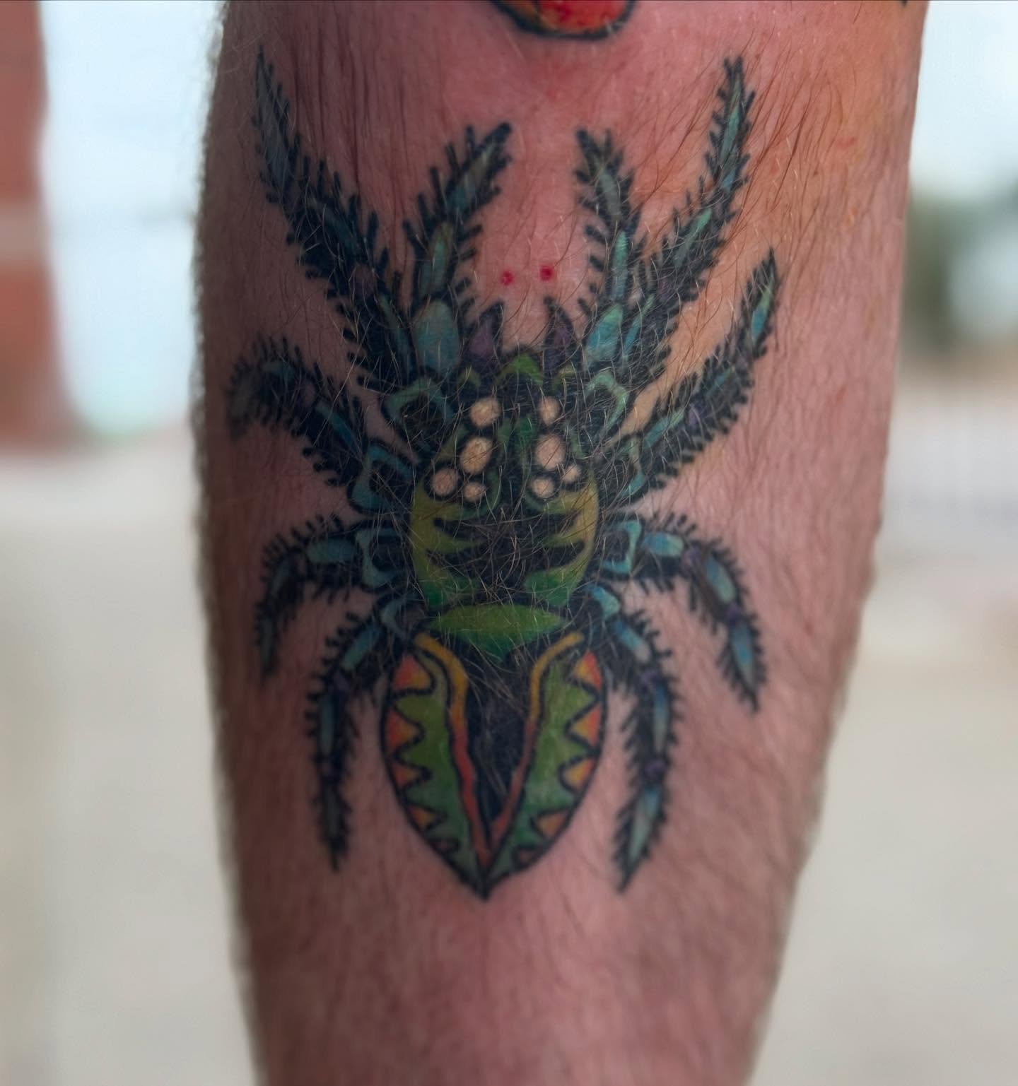6 month Healed spidey on @the_trenton_sprabary2 😍 I would love to do more like this! ✨🥰
#tattoos #tattooartist #tattooshop #colortattoo #coloramericantraditionaltattoos #traditionaltattoo #colortattoo #bodyart #bodymods