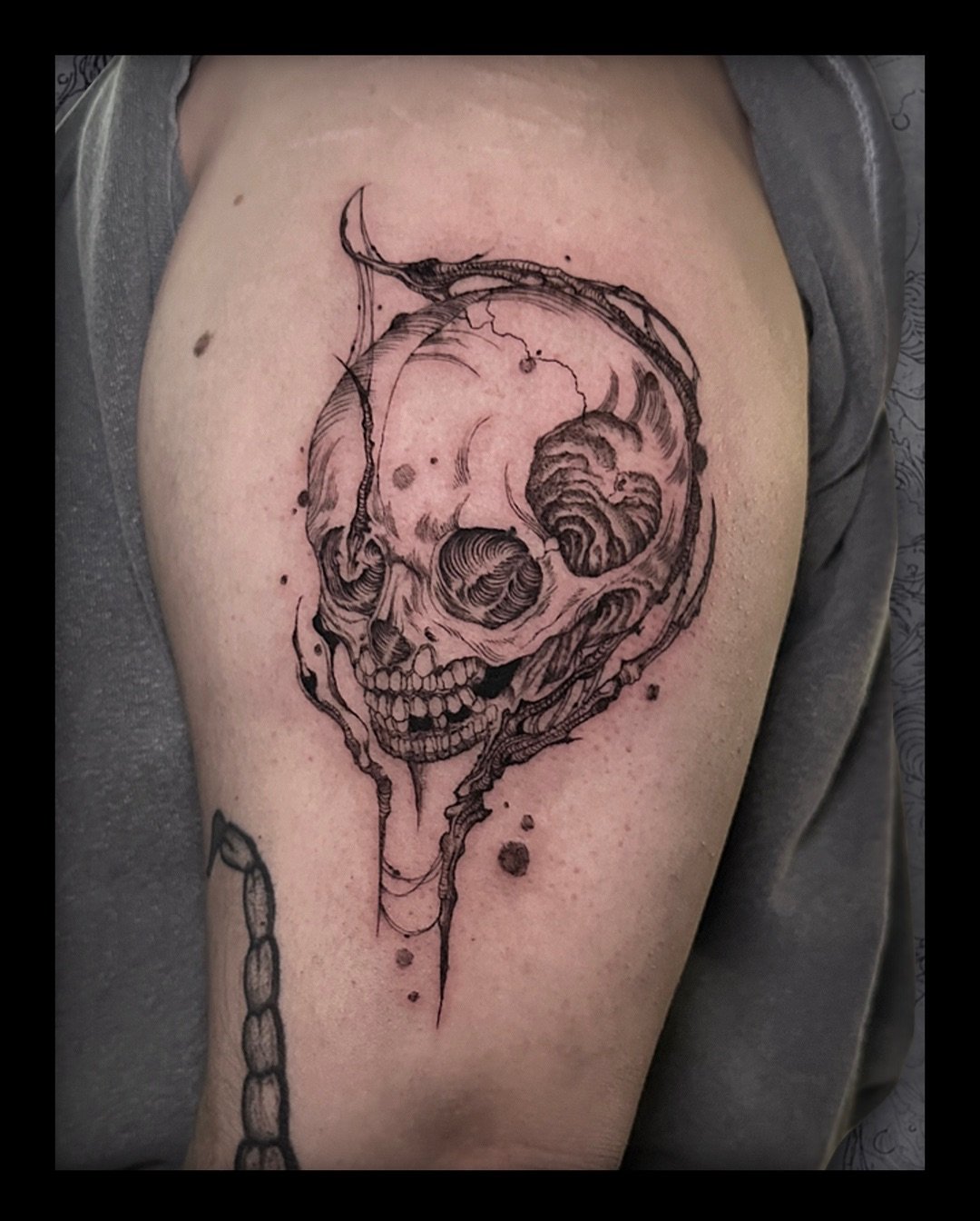 Baby Skull
