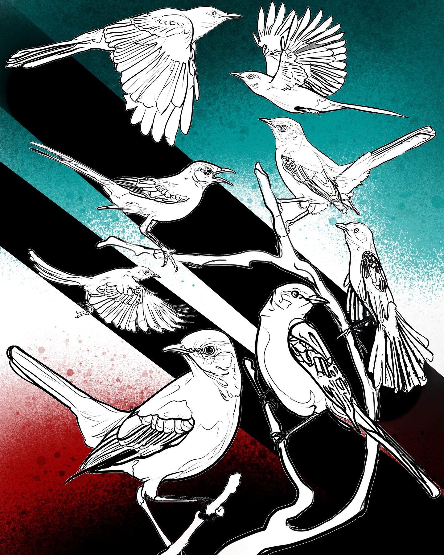 Mockingbirds are actually parasitic nesting birds, accurate for Texas. I just wanted to post these as a study in #mockingbirds and to show my drawing process and that all of my designs can be put in scenarios and I love to customize them. #dentontatt