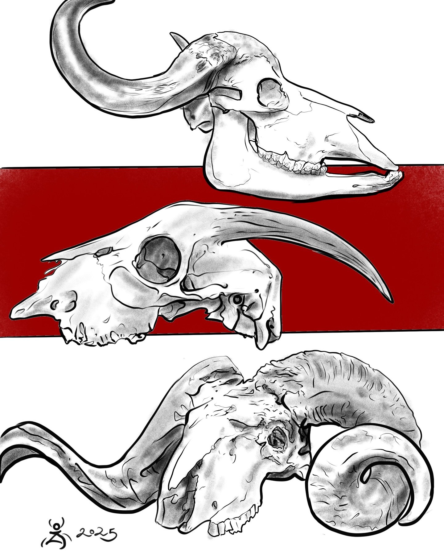 Available designs, I often feel hollow as a desiccated skull ☠️ #dentontattooartist #skulltattoo #letmetattoothisonyou