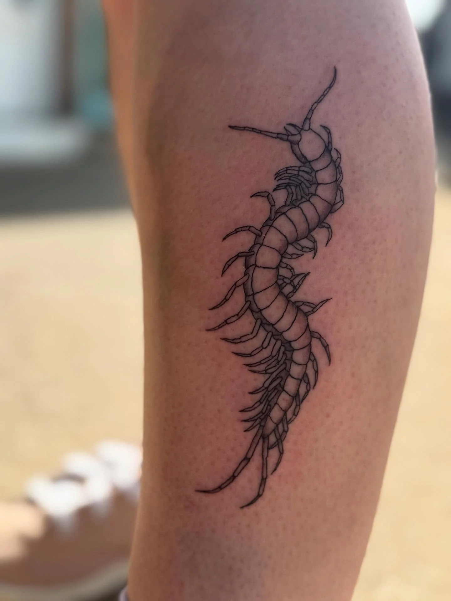 Cutie centipede boy for @rickashaysr 🥰🥰
He turned out so cutie, thanks for letting me tattoo you ❤️
#tattoos #tattoo #tattooartist #denton #dfw #dallasmetro #northtexas