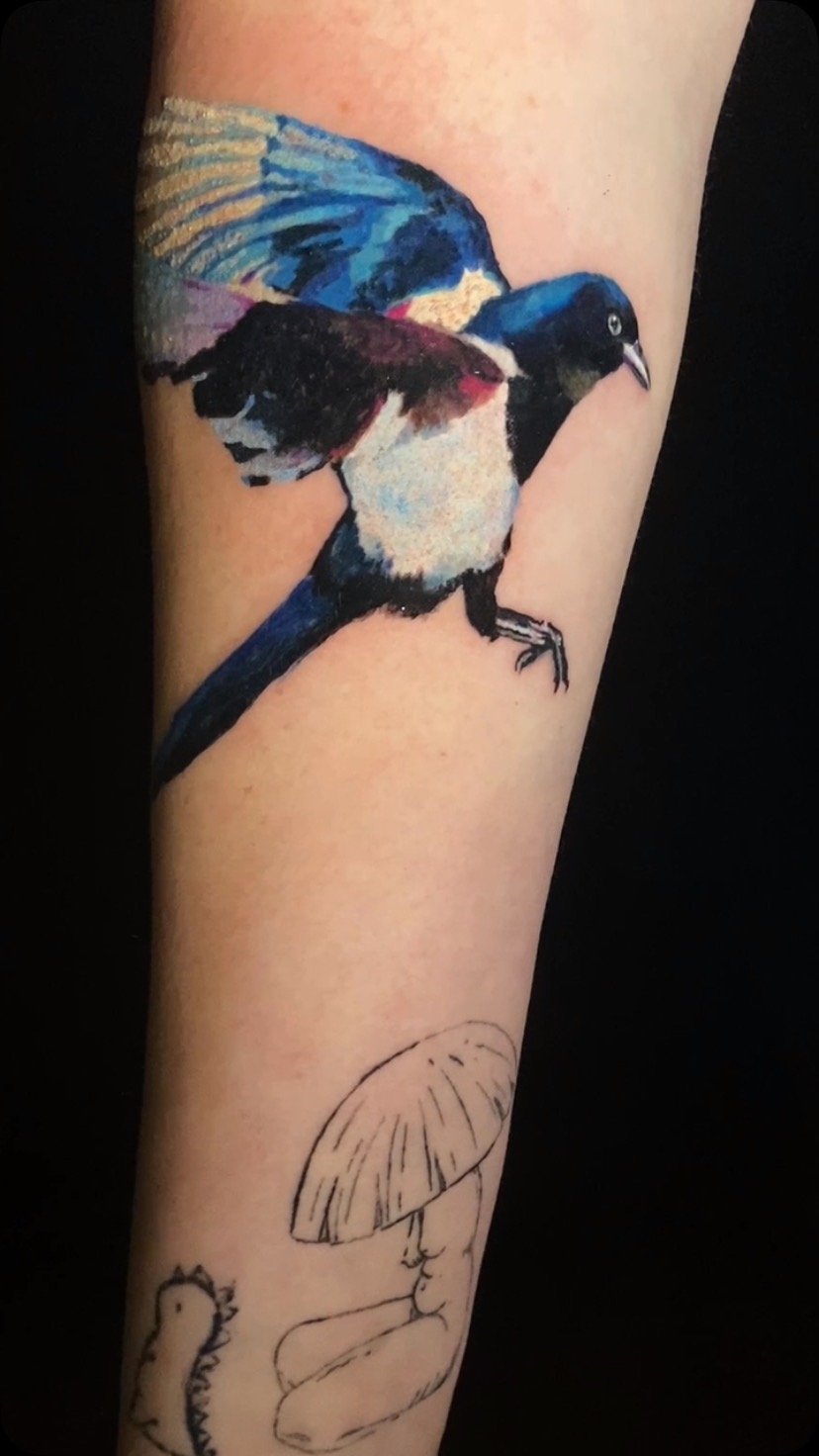 Had a lot of fun doing this Magpie for Brittney!
Love doing these colorful tattoos 😍
Dm or email me for booking if you’re wanting a little color in your life 😉
#birdtattoo #magpie #tattooartist #tattoo #dfwtattooartist #tattoodesign #water