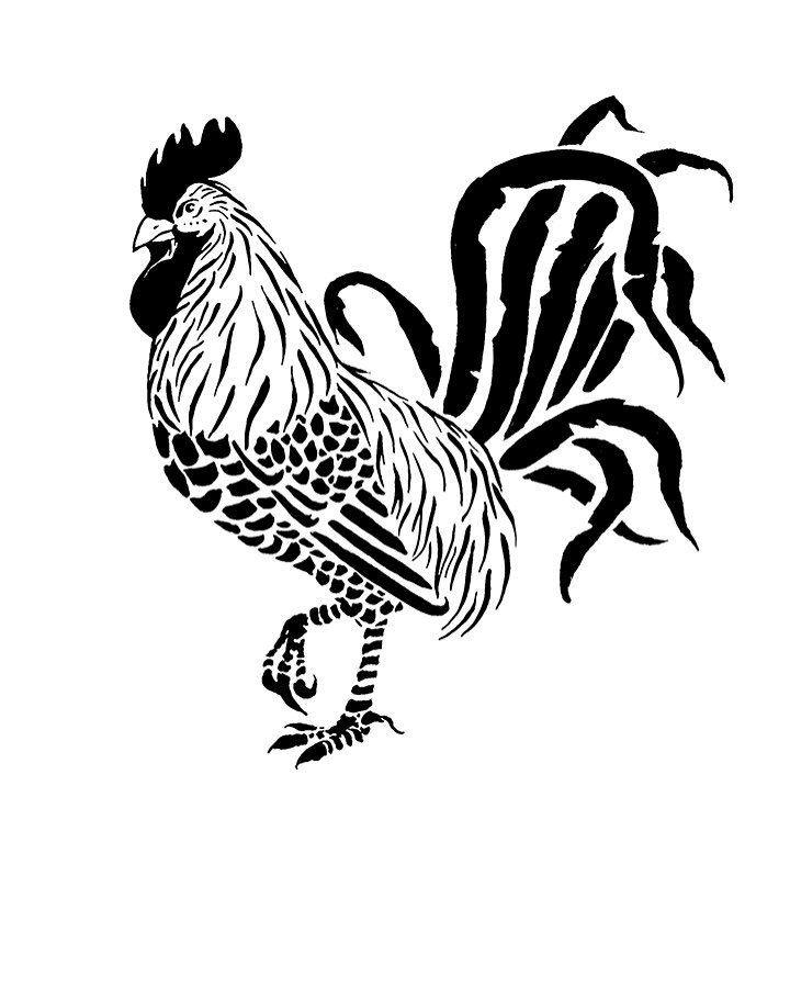 Love drawing 🐓!
Ive been doing some ink and brush drawings lately, I think they’d make some pretty sweet tattoos. What do you think? (Swipe to see the initial sketch ✍️)
#inkdrawing #tattooartist #tattoodesign #inkbrush #blackwork #cockfiend