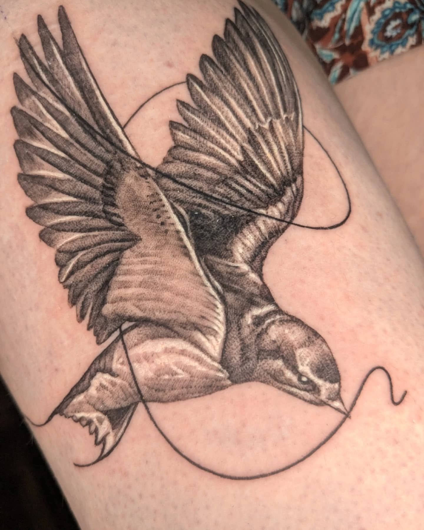 A swallow (more to be added) & two tattoos a month healed.
I'm going to launch my updated website eventually. Hopefully soon. And with it, I will be launching a healed photos competition for the most creative shot (because I'm boring with mine).