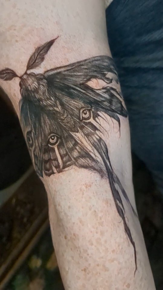 The results of the moth freehand are in...!
Y'all I'm so lucky.
I'm SO curious. Would you trust your artist to freehand on you? I'd like to know your thoughts in the comments!
.
.
.
#texastattooartist #dfwtattoo #fortworthtattoo
#femaletattooartis