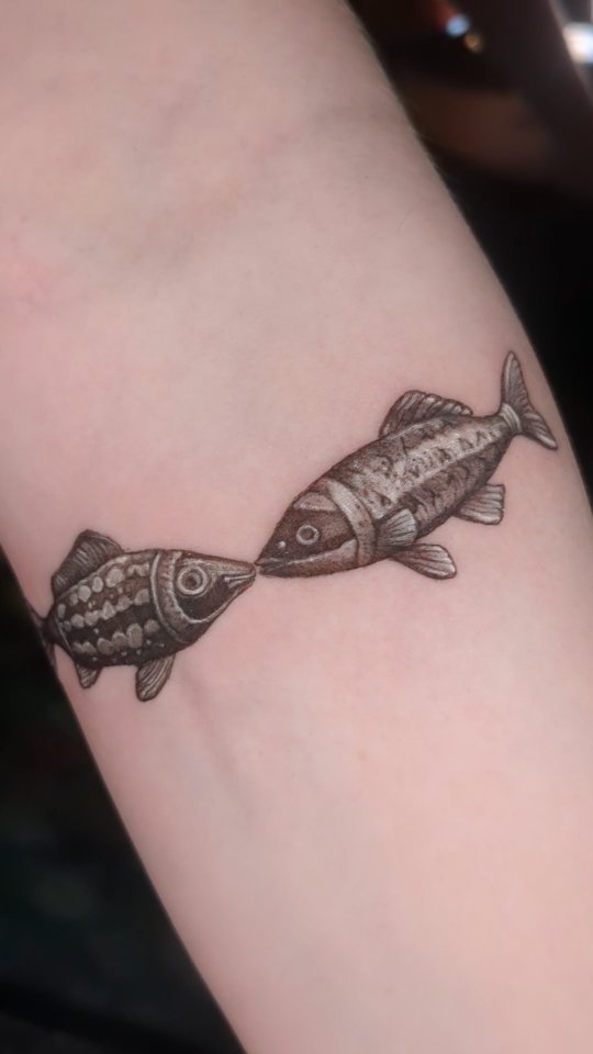 It's too hot in these sweaters.
Bert and Ernie the dyke fish, unabashed.
.
.
.
#dentontattoos #queertattoo #lesbiantattoo #fishtattoo #texastattooartist #femaletattooartist #blackandgreytattoo #tinytattoo #gayart #vintagetattoo #antiquetattoo
