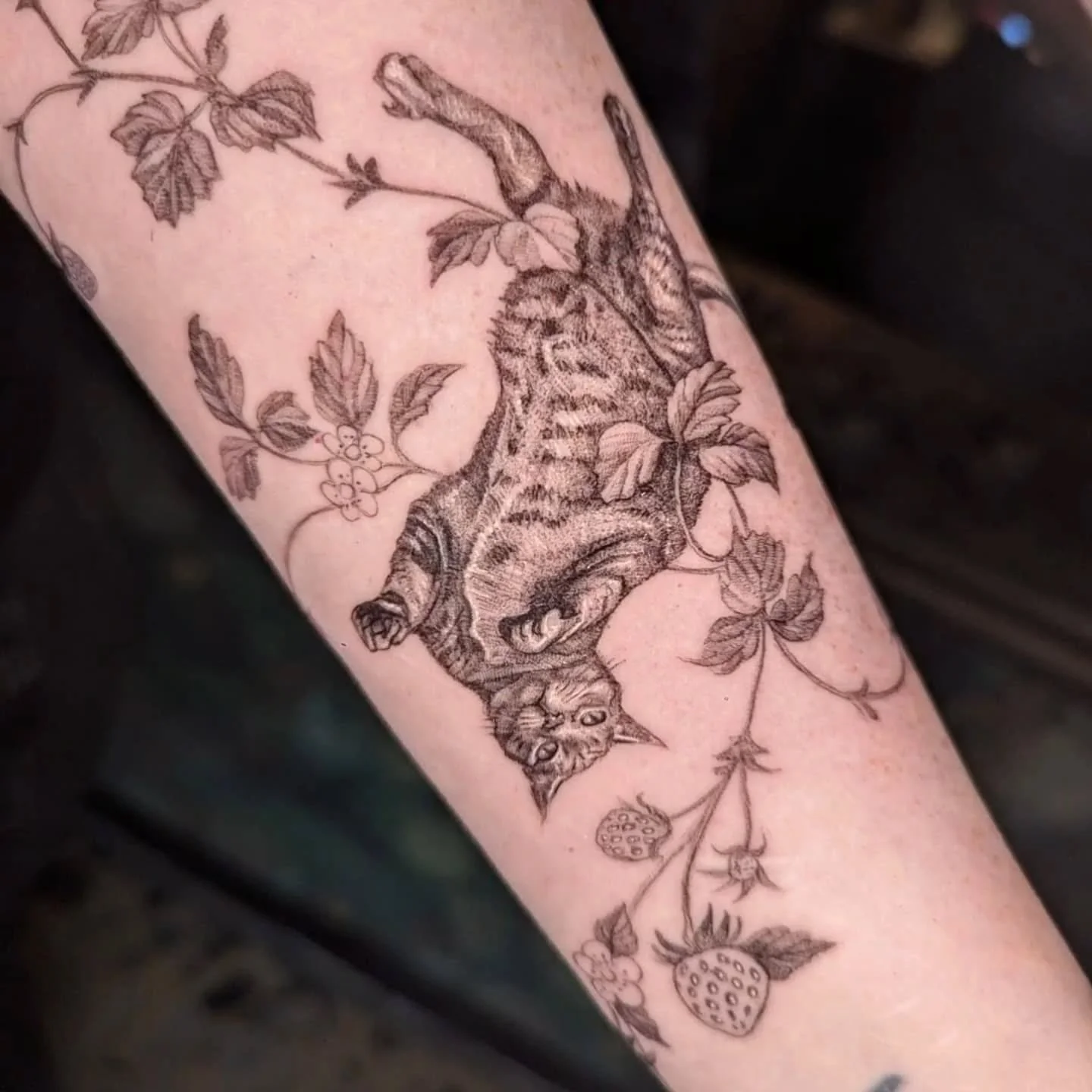 Portrait of the beloved Banksy cat. ❤️ We're going to add color next session to the strawberry vines, so don't mind the low render quality on them.... Thank you for the trust and great photo references.
.
.
.
#dentontattoos #cattattoo #petportrait