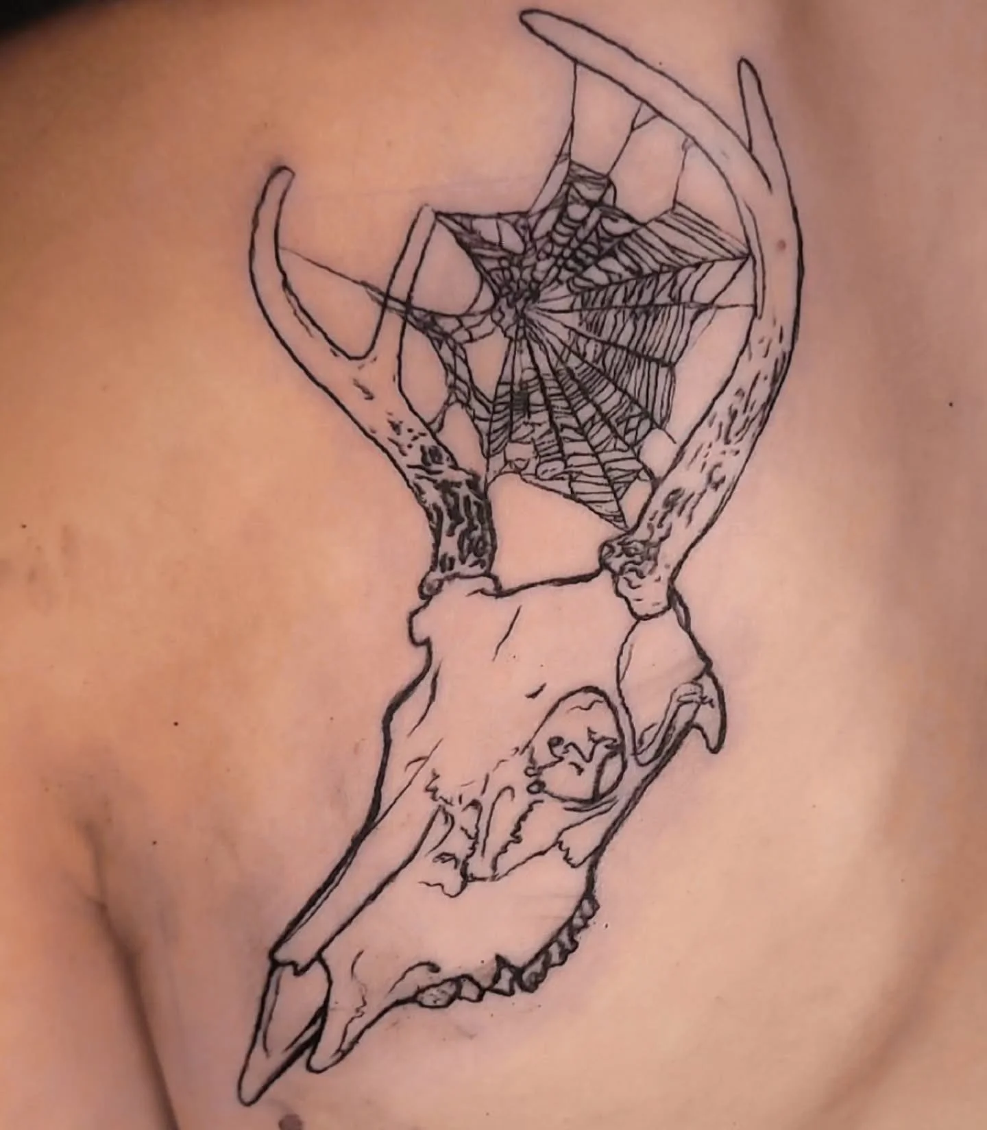 I am so happy that @cypresswood595 came in today and let me do this awesome skull and spiderweb tattoo! I've wanted to do this one for months and months. I had hoped someone would want it and today my wish came true. Done in just under 2 hours @thear