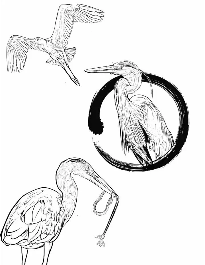 Great Blue Herons from my flash collection, you can see in the video that not everything I draw makes it into the final image. Sometimes you must &ldquo;kill your darlings&rdquo; and that&rsquo;s okay. These pieces are all available, or if you want t