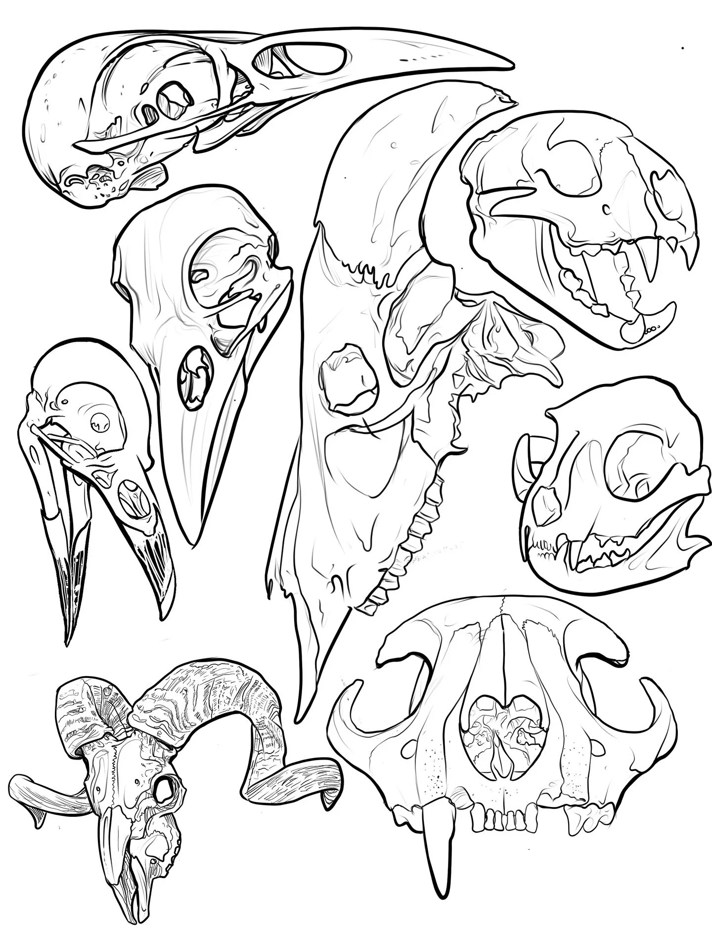 Here is a full sheet of animal skulls, I may be too focused on the impending spooky season. I cannot wait to share the designs I have been creating for October. I must remember not to neglect September. All designs available @$100 per hour or $80 min