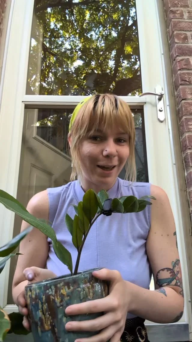 Join me in morning talks in which the only thing that can stop me from rambling is my cup being empty. Just thinking about artists valuing themselves, these little thoughts aren't for me to tell you what to do but to get you thinking about a topic I'
