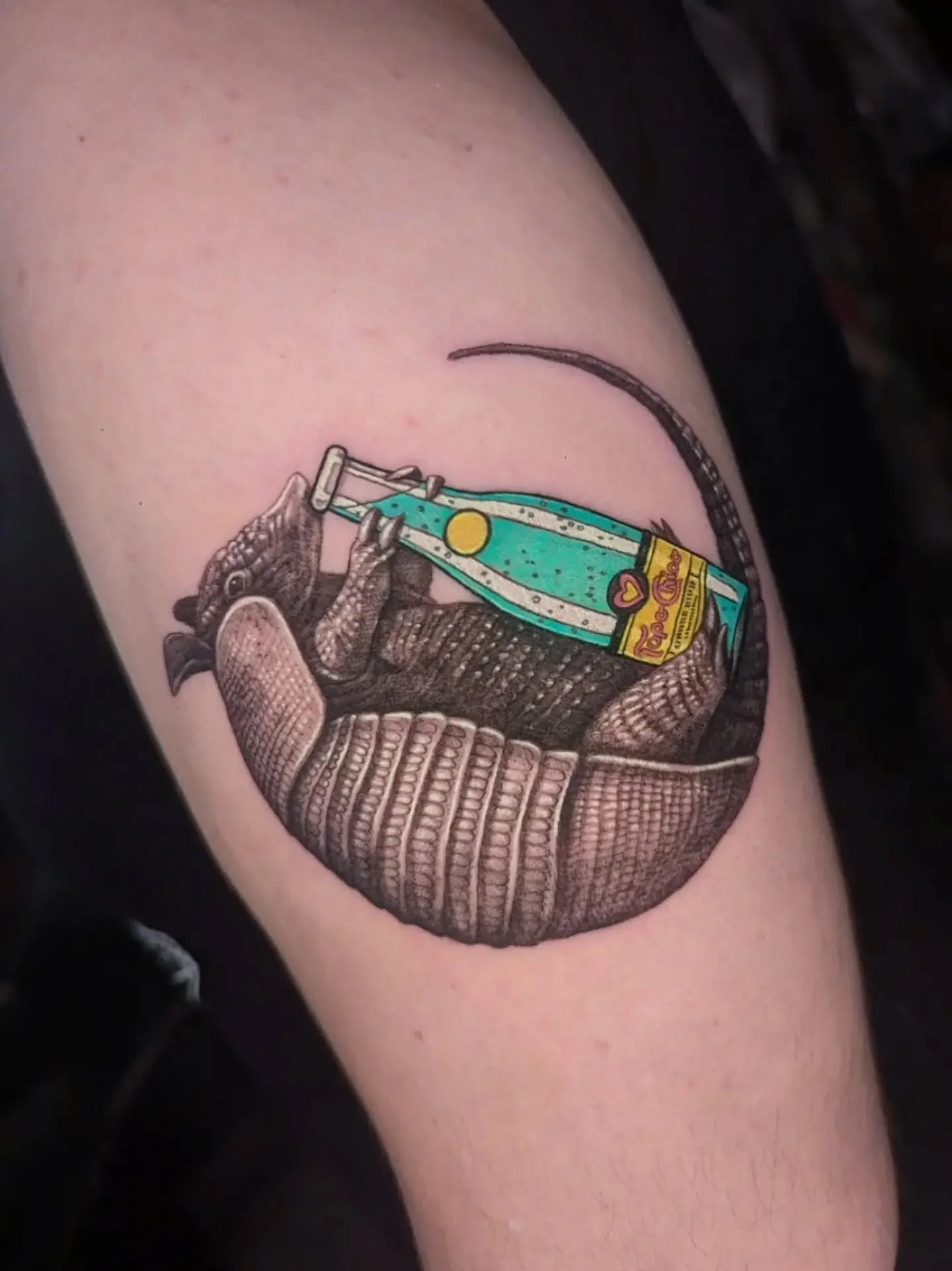 glub glub you bubbly fools

.
.
.
#dentontattoos #texastattooartist #armadillo #vintagetattoo #topochico #dallastattooartist #dfwtattoos #fortworthtattoos
