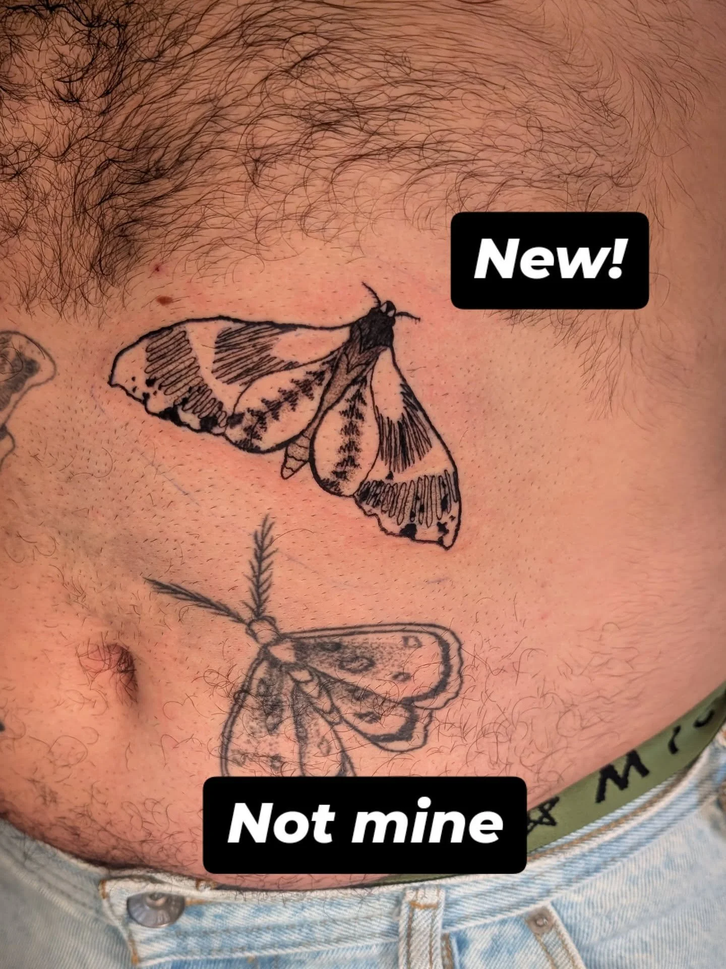 It's turning into a bit more of a swarm! Love to tattoo a new version of a moth and I hope to add many more to this spot.
.
.
.
#mothtattoos #bugs