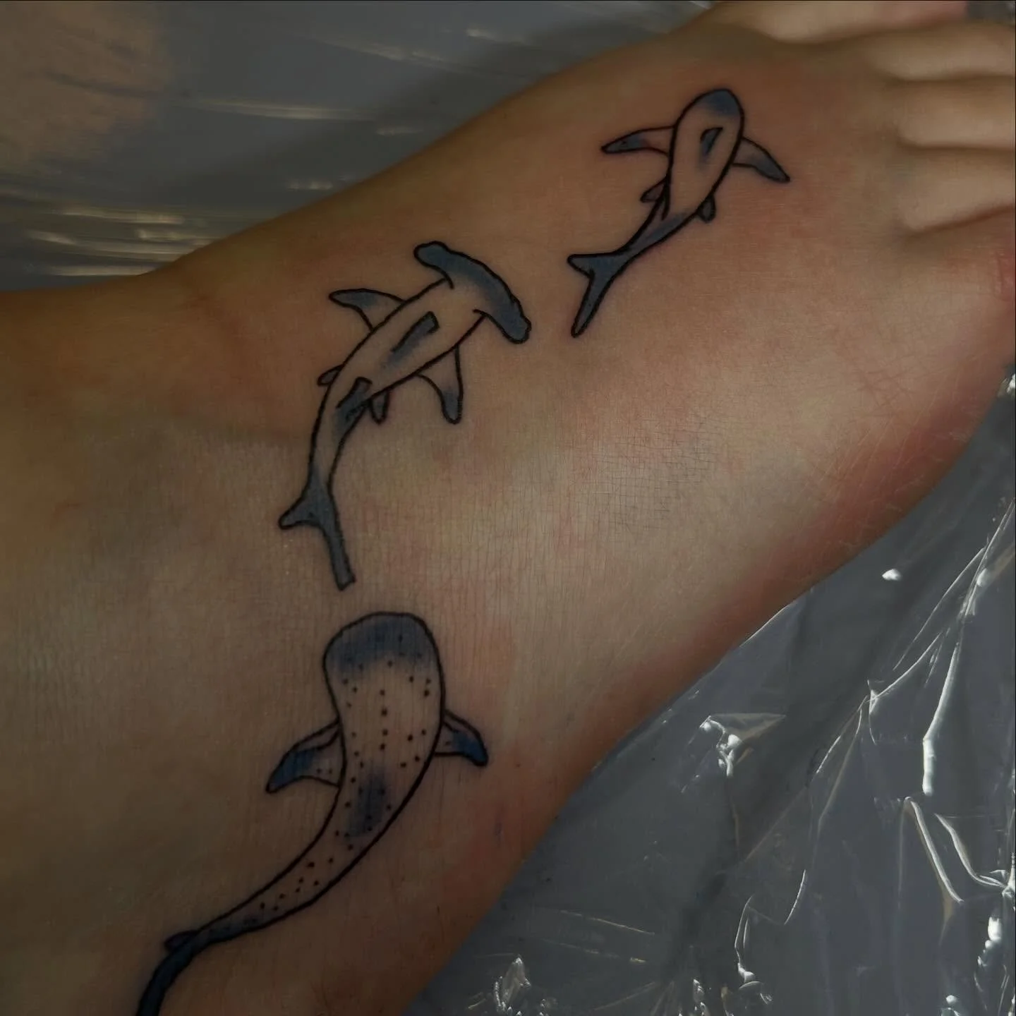 Some cute sharks on the foot heheh
-
#tattoo #dentontx #tattooartists #dfwtattoo #cutetattoo