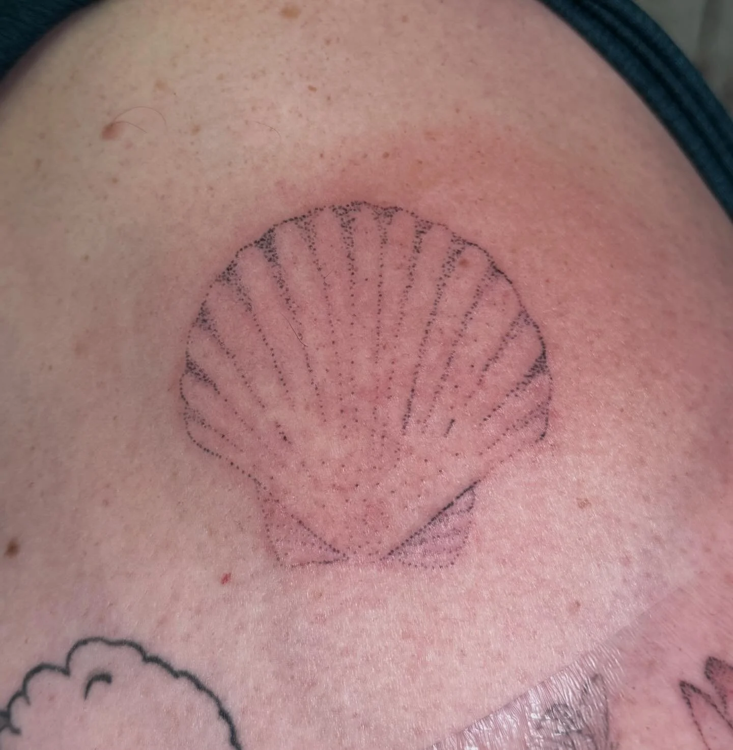 sea shell for nat <3

#babybeartattoos #dentontx #dentontattoos #guesttattooartist #dfwtattooartist