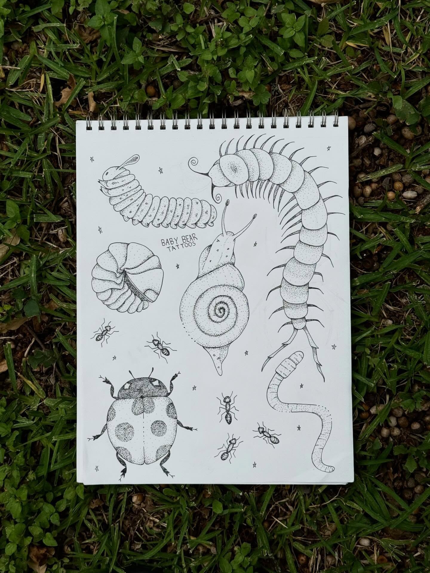garden critters flash is finally finished!! 🐛🪱🐞🐌

dm me to book one of these lil guys!

#babybeartattoos #travelingtattooartist #guestspot #handpoketattoos #handpokeartist